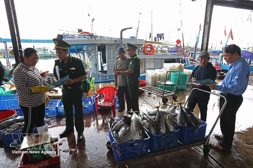 Border Guard forces, in coordination with competent authorities, conduct outreach activities for fishermen at Hon Ro Port in Nam Nha Trang ward, Khanh Hoa province. (Photo: VNA)