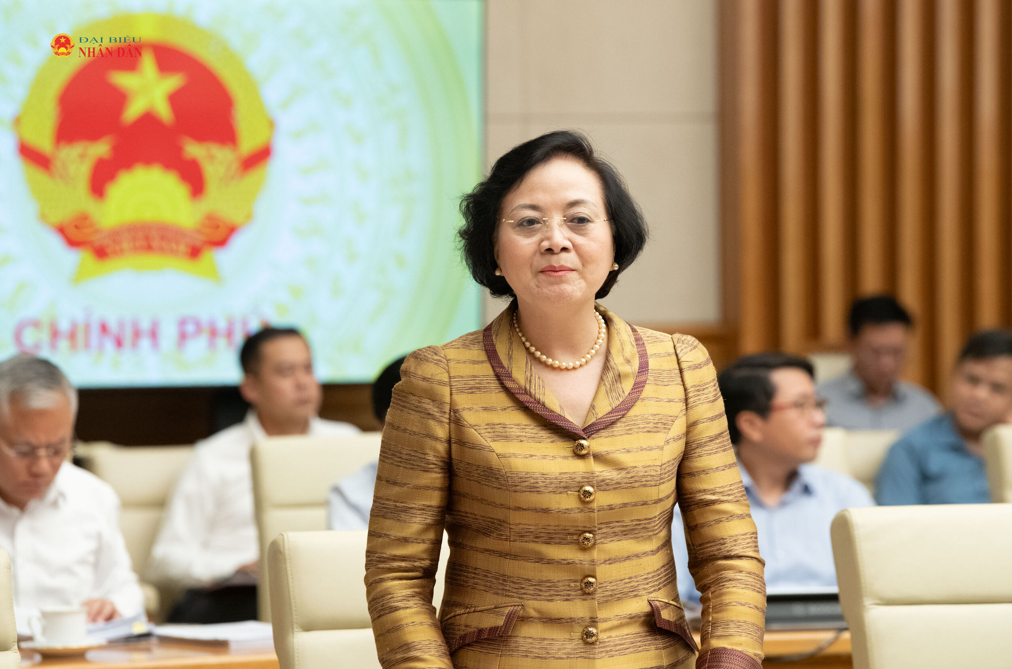 Phó thủ tướng Phạm Thị Thanh Trà .3