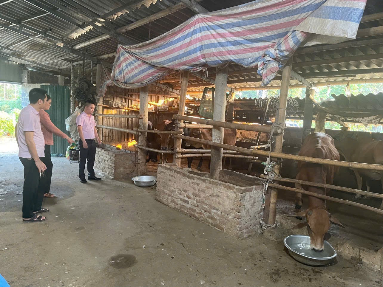 Vốn chính sách kịp thời hỗ trợ người dân Lạc Sơn phát triển sản xuất, giảm nghèo bền vững