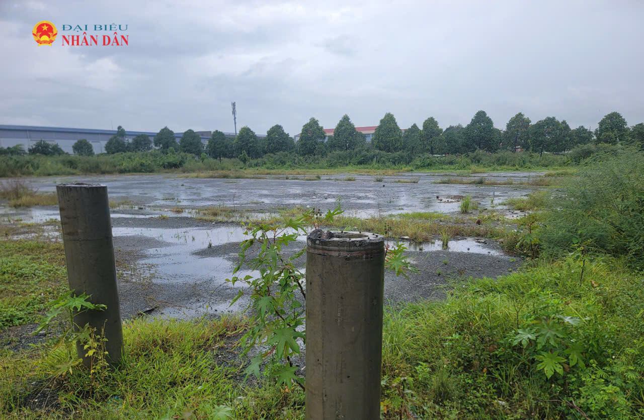 UBND TP. Hồ Chí Minh giao các đơn vị liên quan trước khi cho thuê phải rà soát tình trạng pháp lý của từng khu đất