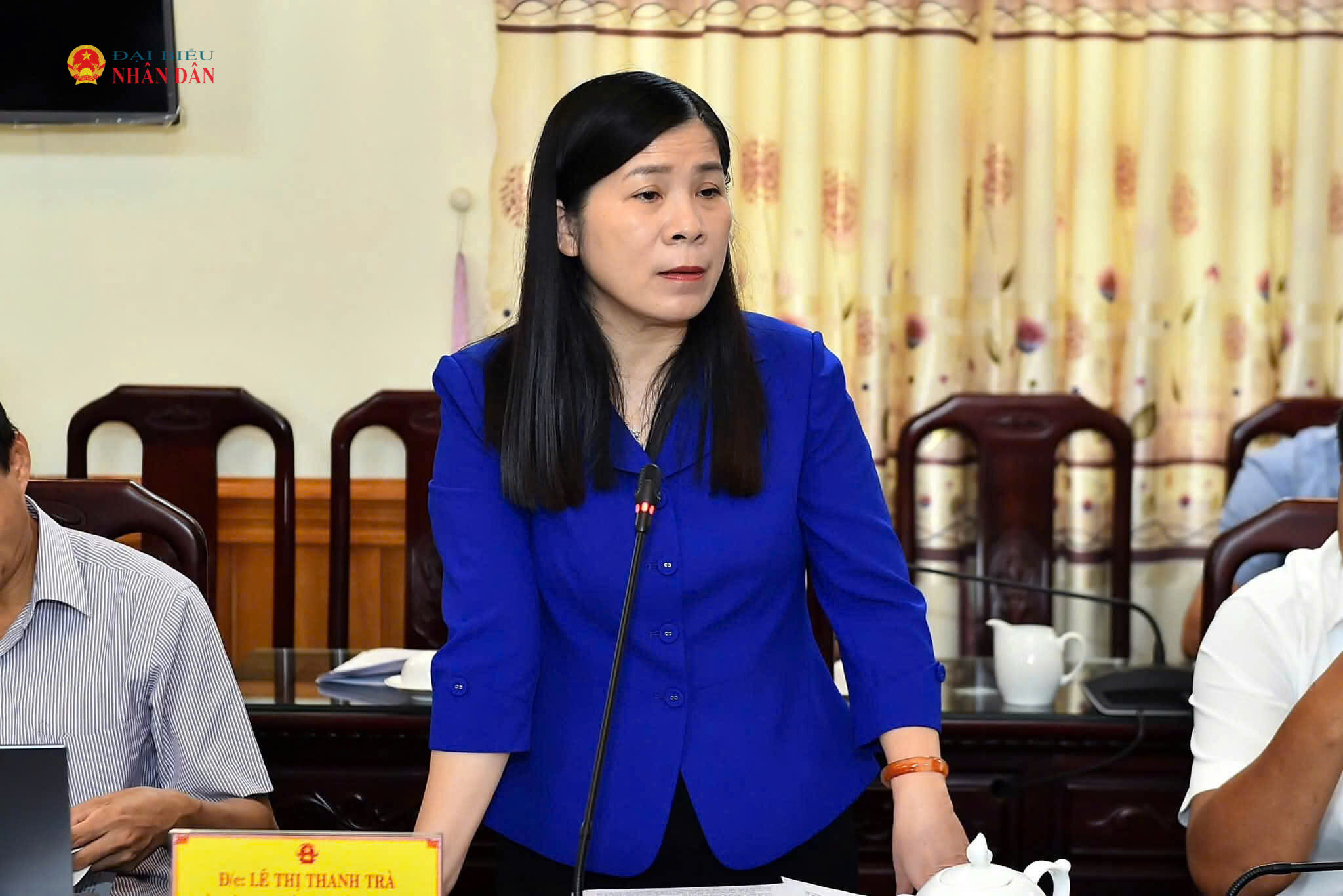 Phó Chủ tịch HĐND tỉnh Lê Thị Thanh Trà phát biểu ý kiến thảo luận tại phiên họp