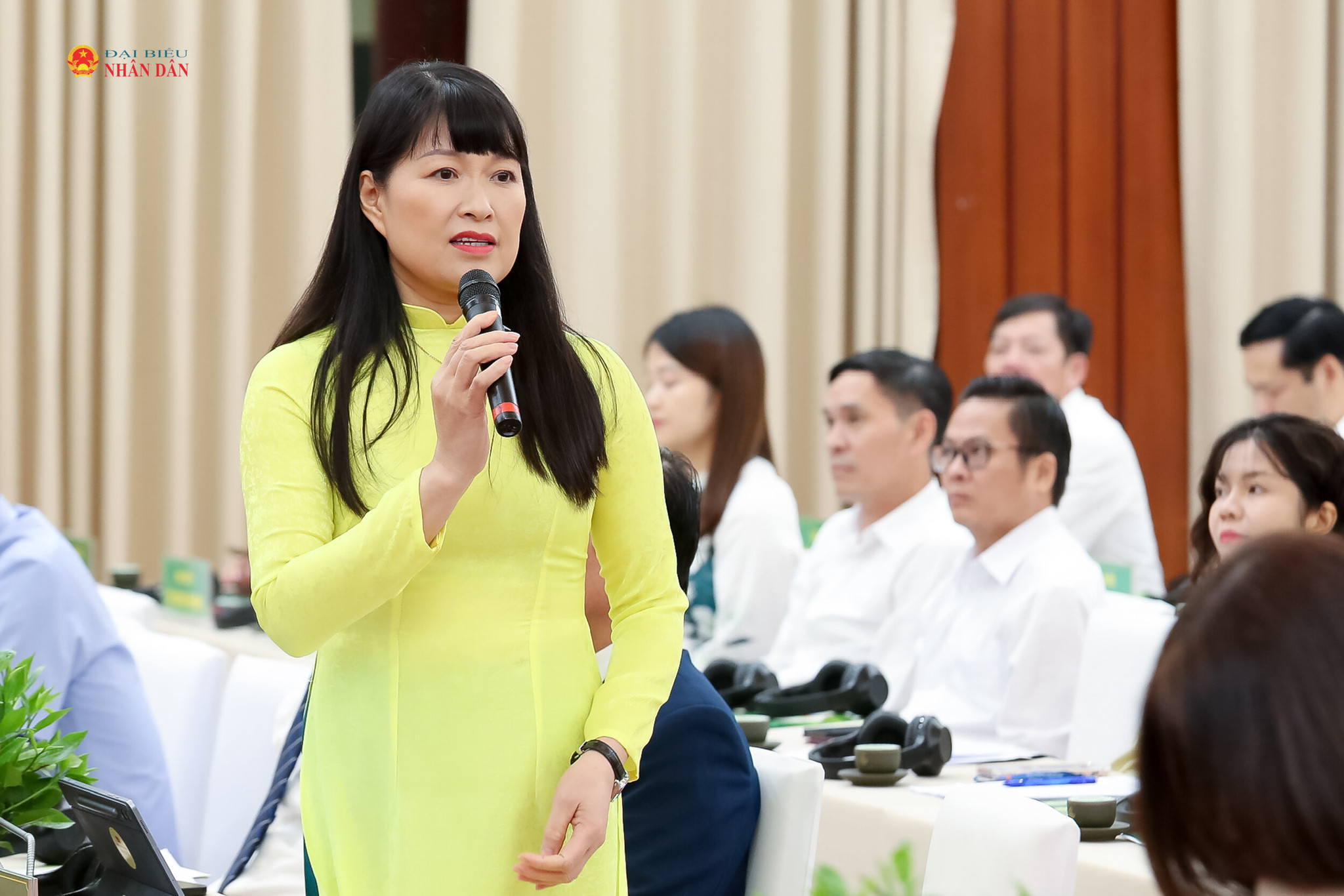 Giám đốc Sở Văn hóa, Thể thao và Du lịch tỉnh Thái Nguyên Hà Thị Bích Hồng phát biểu