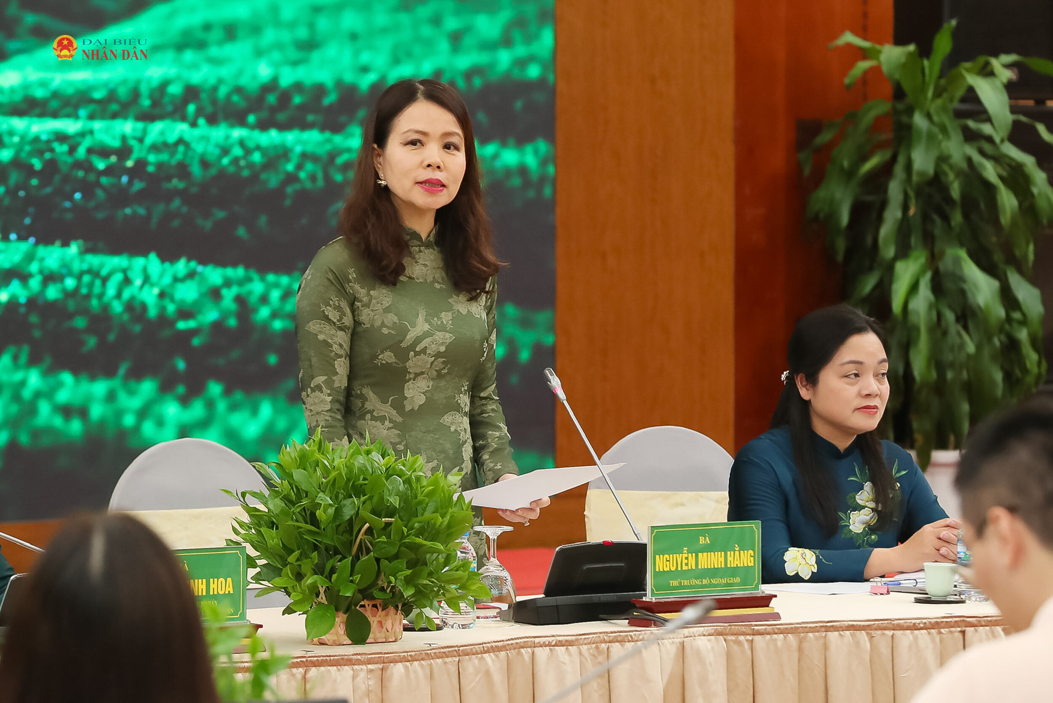 Thứ trưởng Bộ Ngoại giao Nguyễn Minh Hằng phát biểu