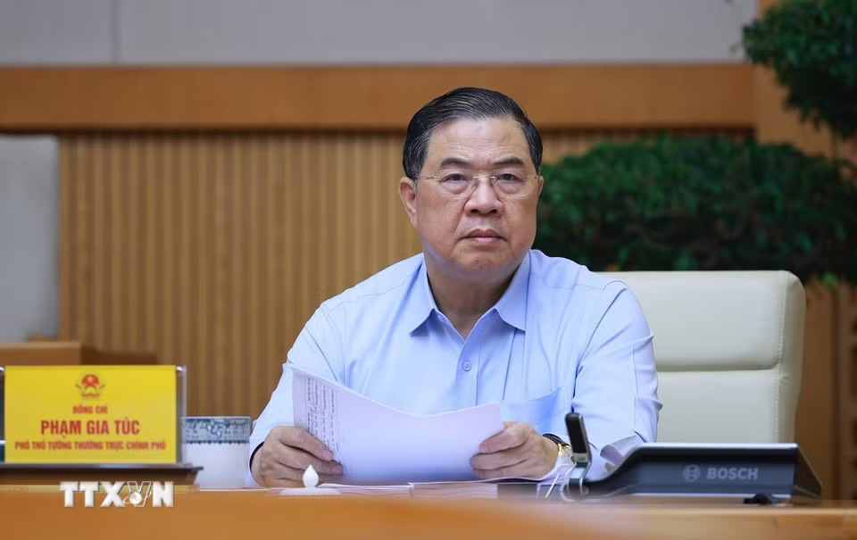 Phó Thủ tướng Thường trực Chính phủ Phạm Gia Túc phát biểu