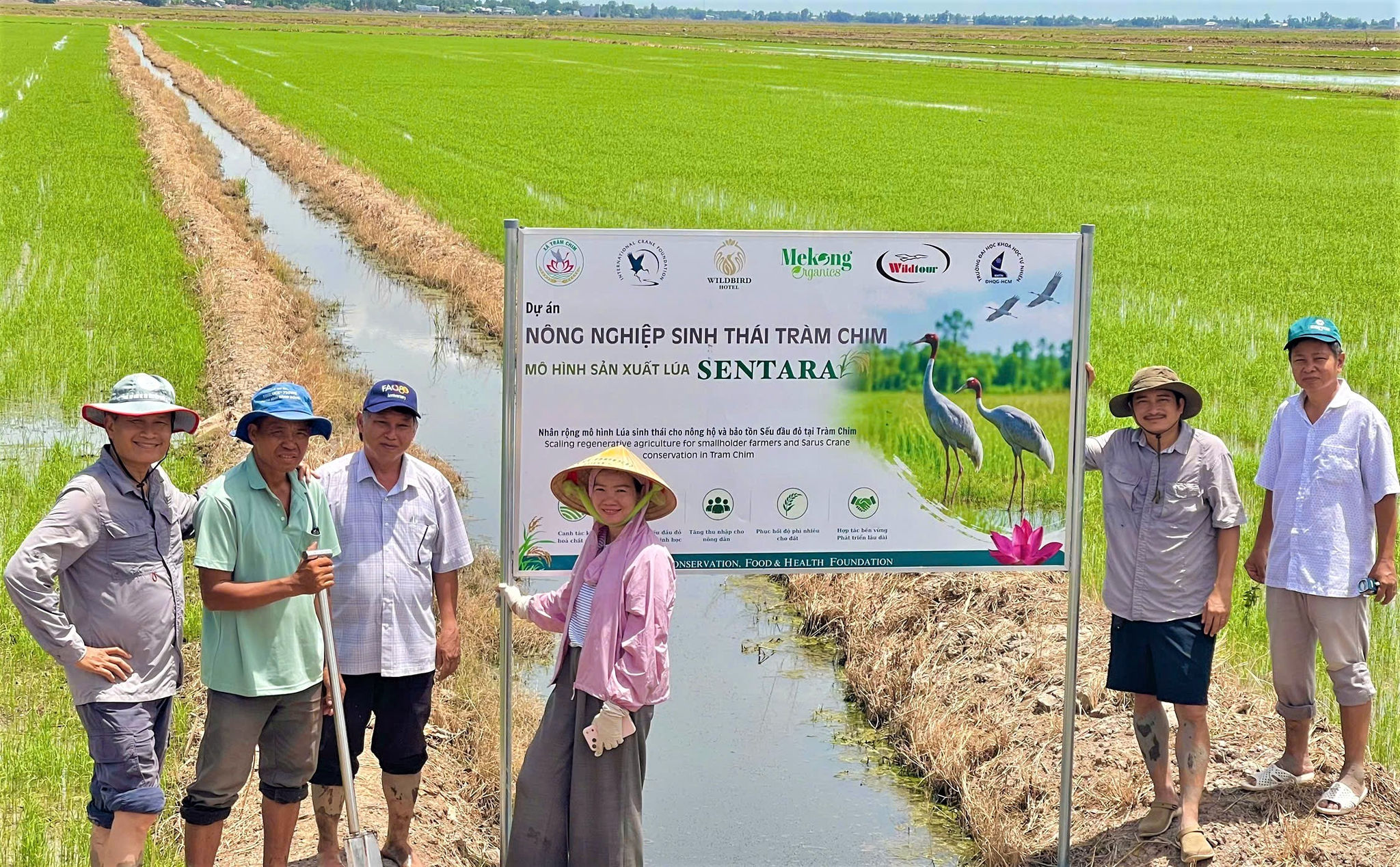 lua sinh thai
