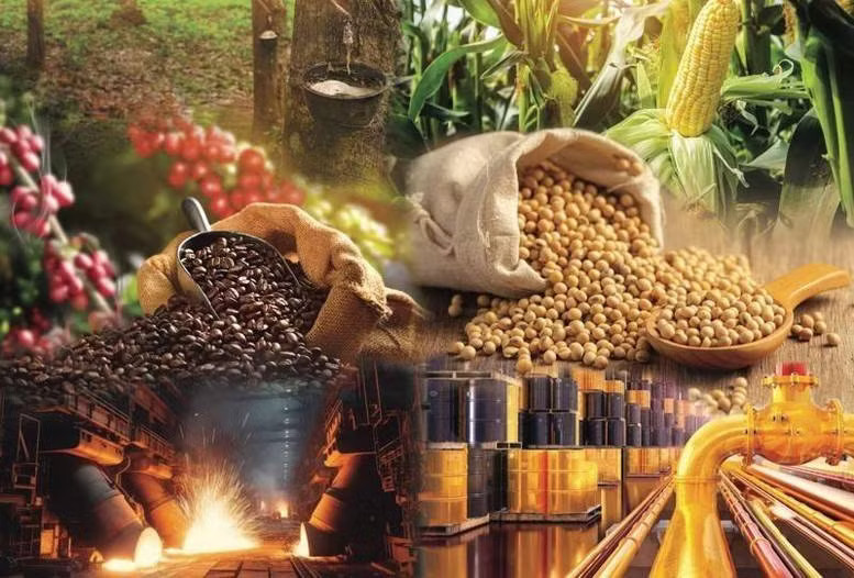 Vietnam’s commodity derivatives market has gradually taken shape and become a tool helping businesses manage risks arising from price fluctuations. (Photo: doanhnghiephoinhap.vn)