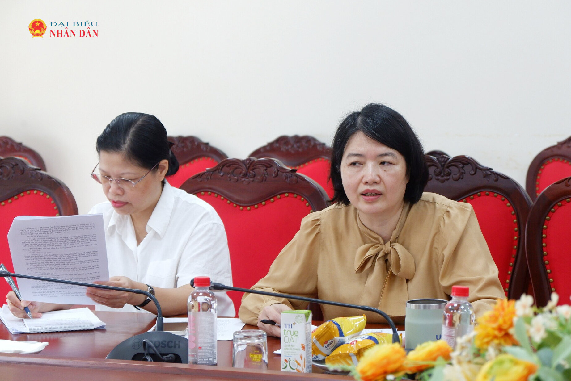 ĐBQH hoạt động chuyên trách tại Ủy ban Văn hóa và Xã hội Nguyễn Thị Mai Thoa phát biểu tại cuộc làm việc