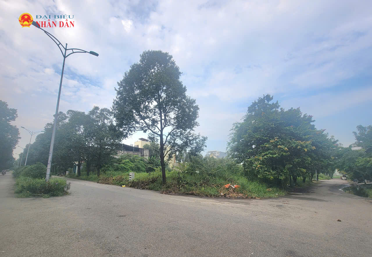 Dự án KDC Vĩnh Phú 1 - giai đoạn 2 cũng đang vướng mắc và chưa cấp được GCN QSDĐ cho người dân. Ảnh: Quang Phương