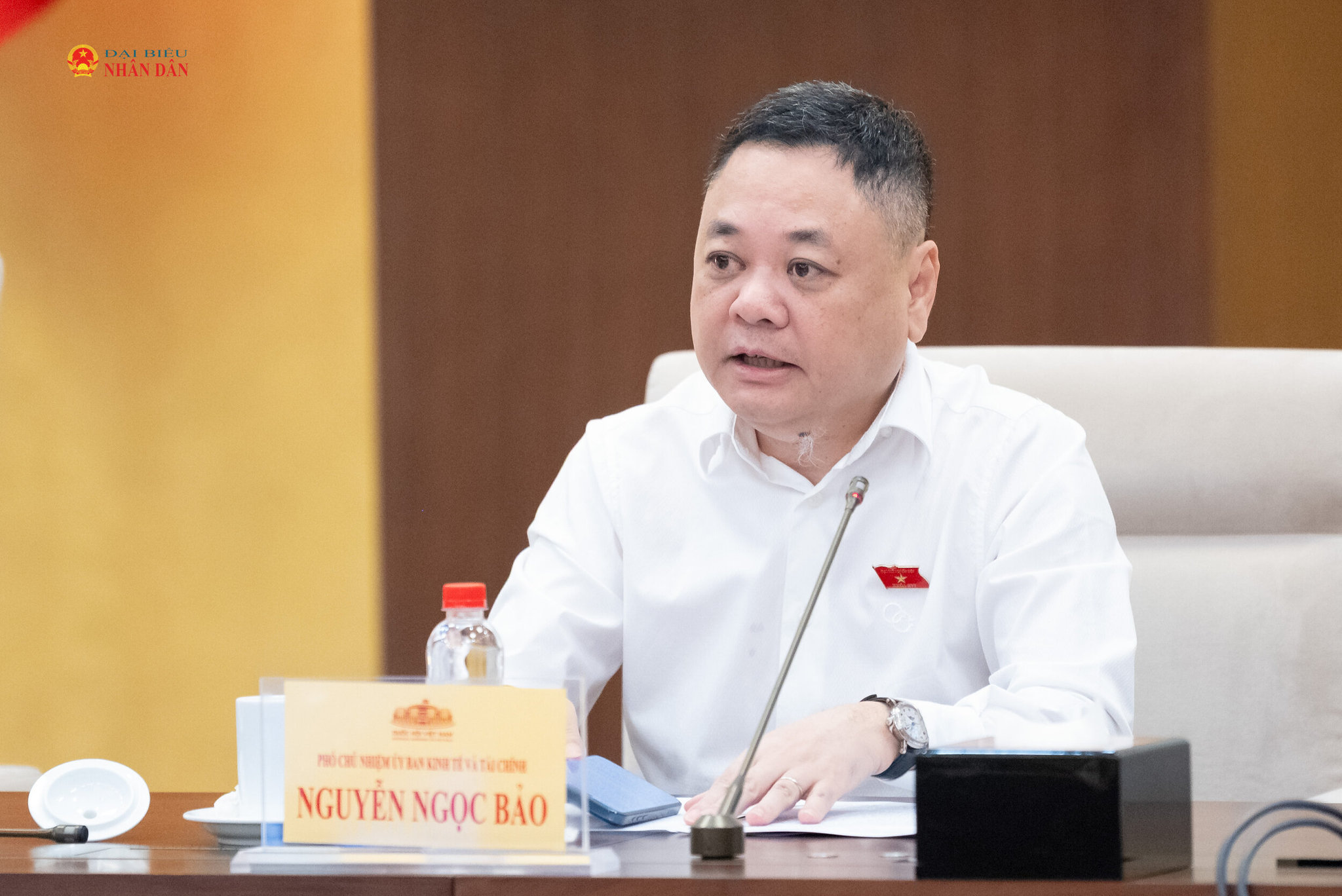 Phó Chủ nhiệm Uỷ ban Kinh tế và Tài chính Nguyễn Ngọc Bảo điều hành nội dung Phiên họp