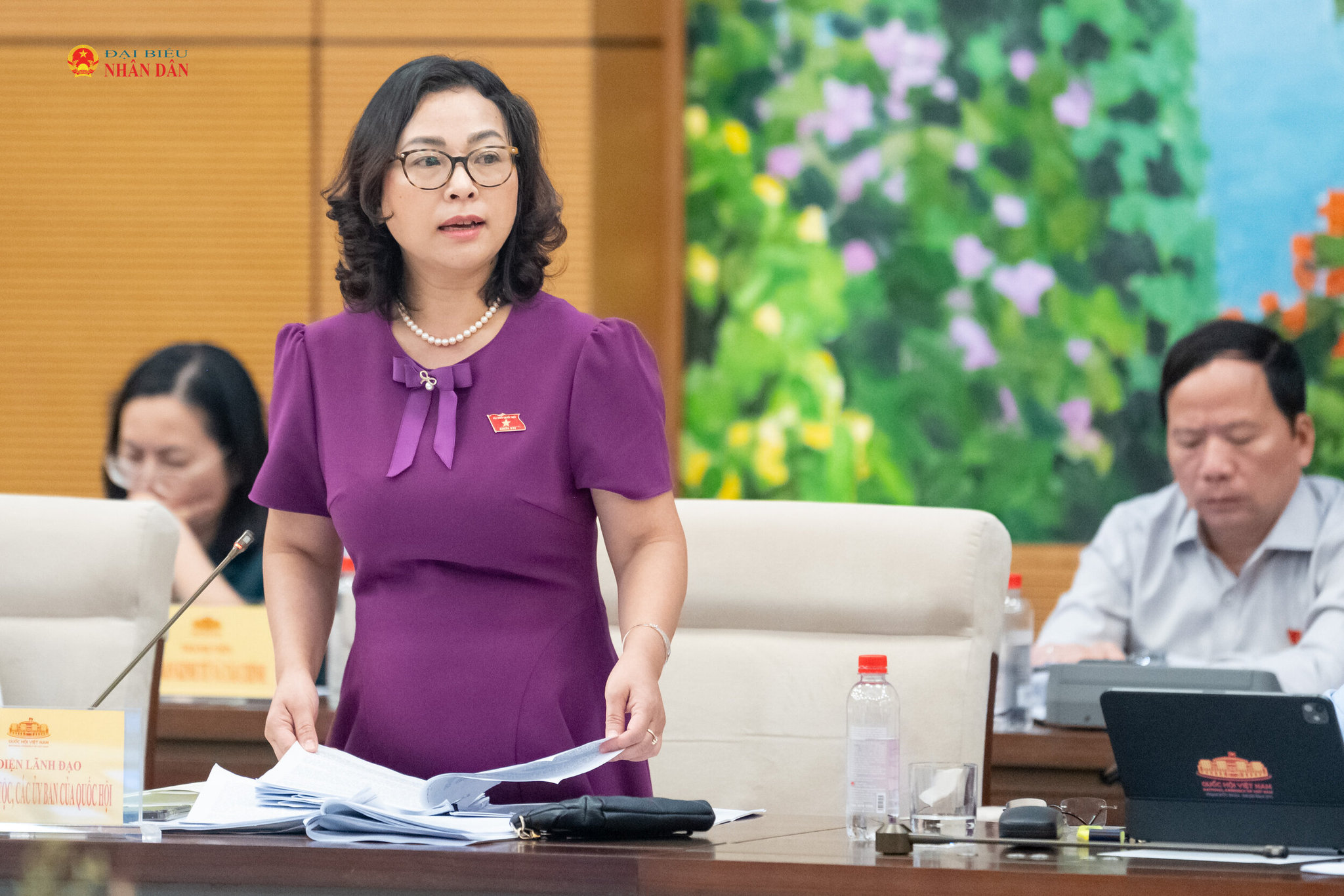 ĐBQH hoạt động chuyên trách tại Ủy ban Pháp luật và Tư pháp Tống Thị Hạnh phát biểu tại Phiên họp