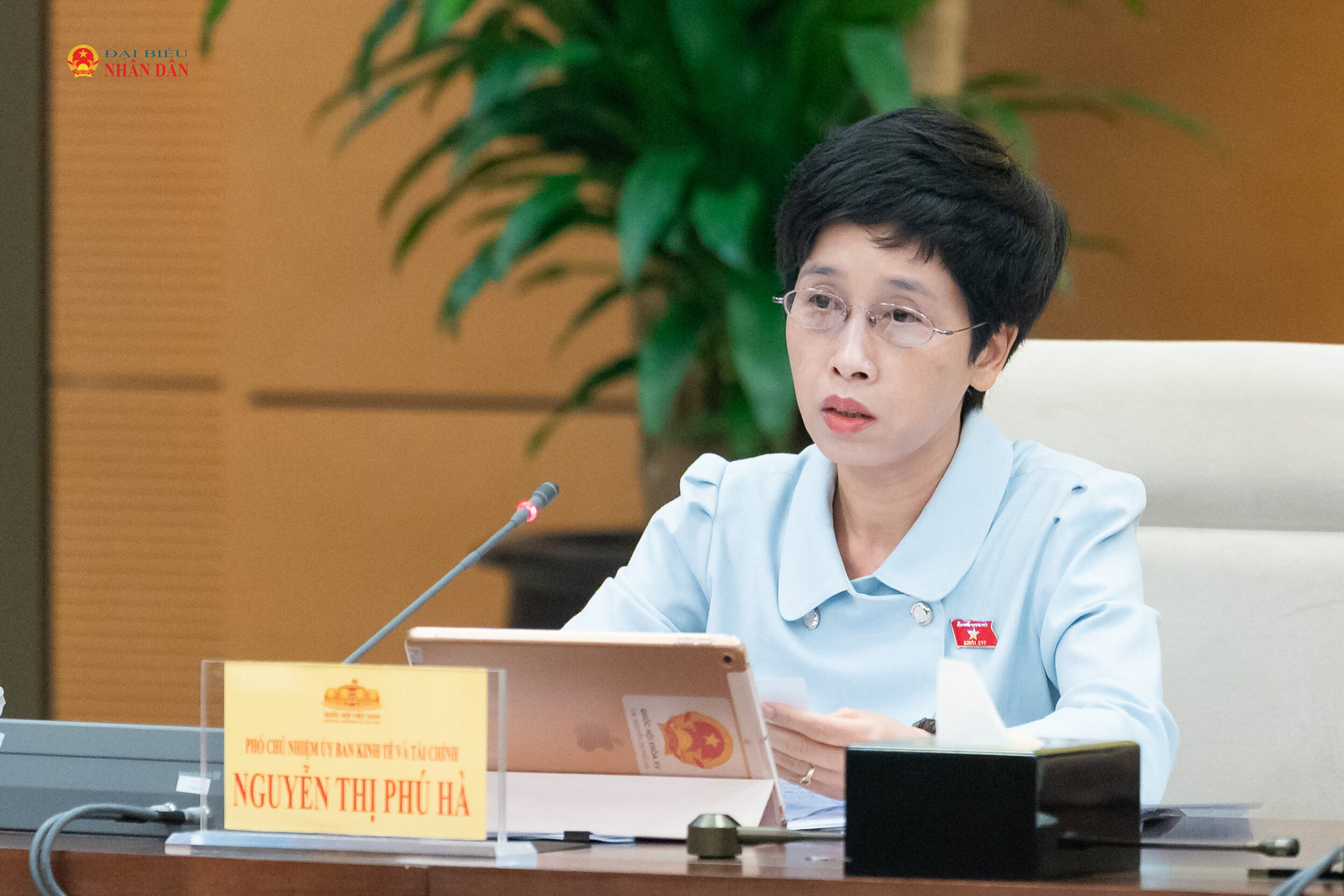 Phó Chủ nhiệm Ủy ban Kinh tế và Tài chính Nguyễn Thị Phú Hà điều hành nội dung thảo luận