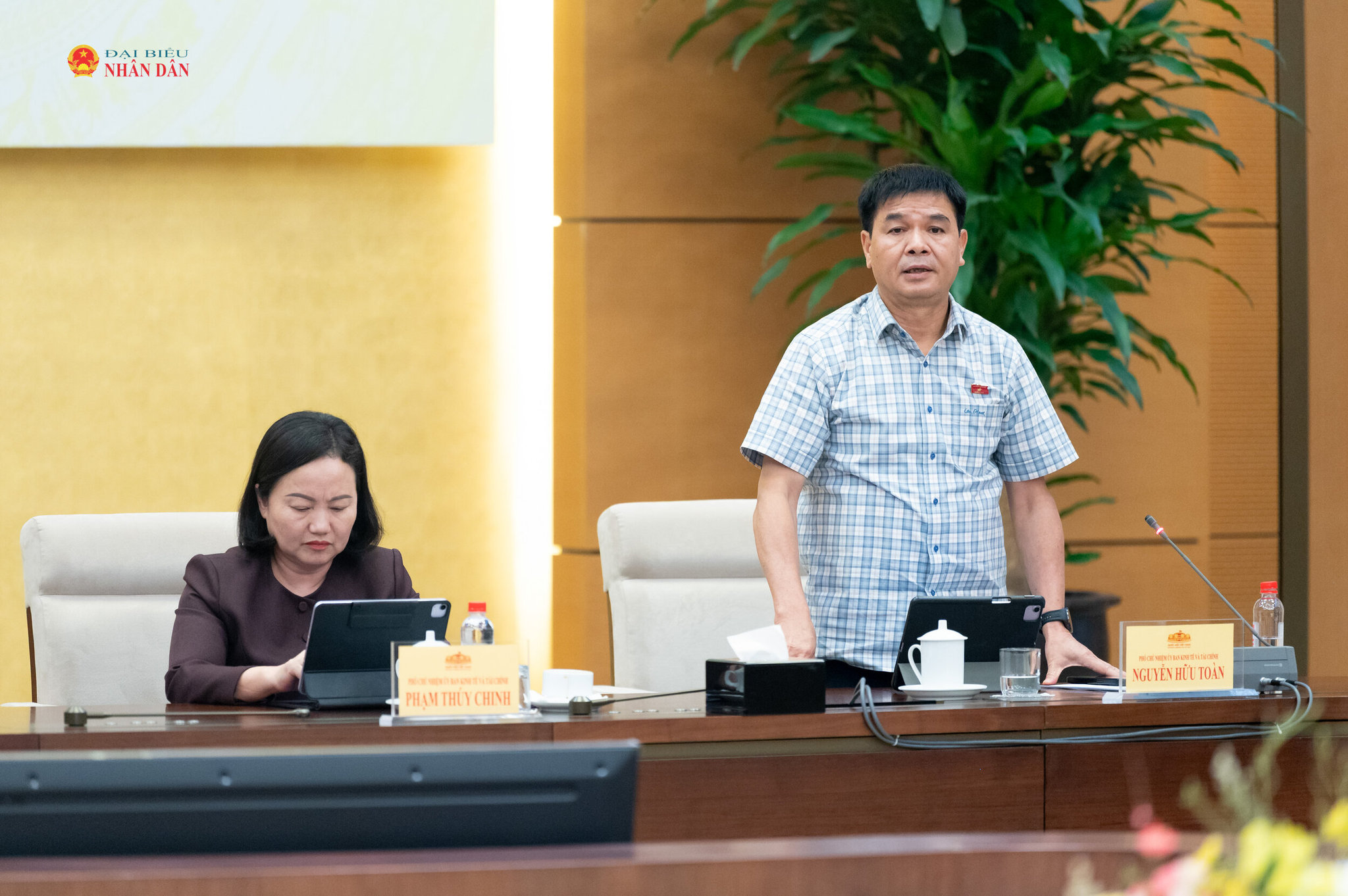 Phó Chủ nhiệm Ủy ban Kinh tế và Tài chính Nguyễn Hữu Toàn phát biểu