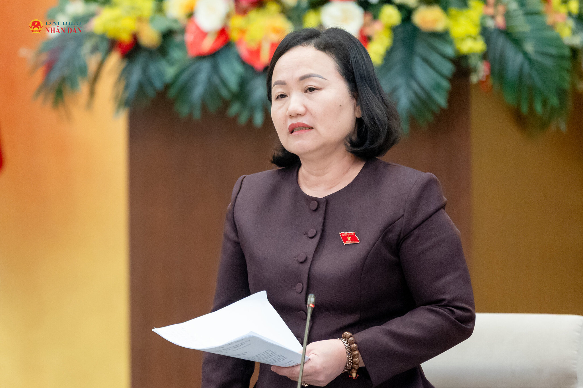 Phó Chủ nhiệm Ủy ban Kinh tế và Tài chính Phạm Thúy Chinh pháp biểu