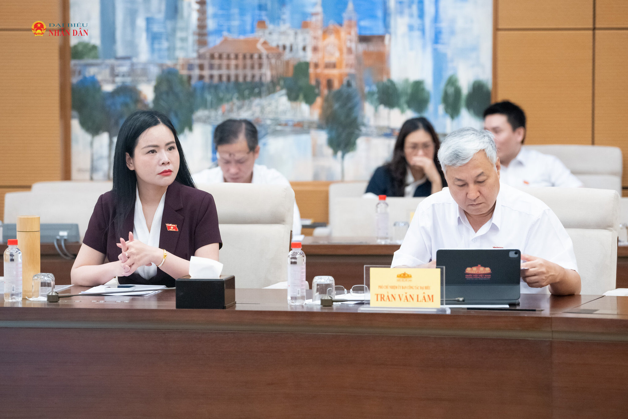 Các đại biểu tham dự Phiên họp