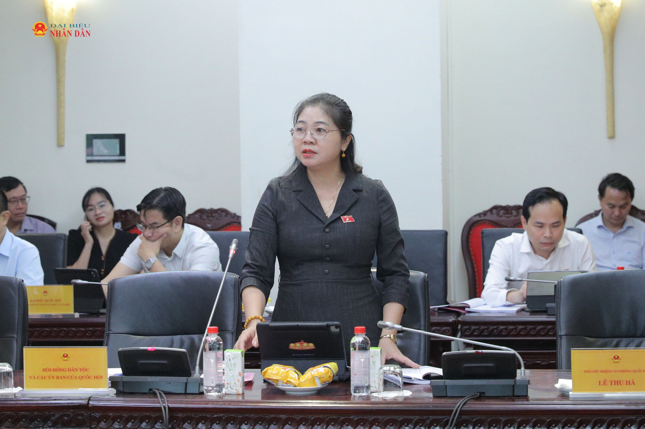 Đại biểu hoạt động Chuyên trách tại Hội đồng Dân tộc Leo Thị Lịch