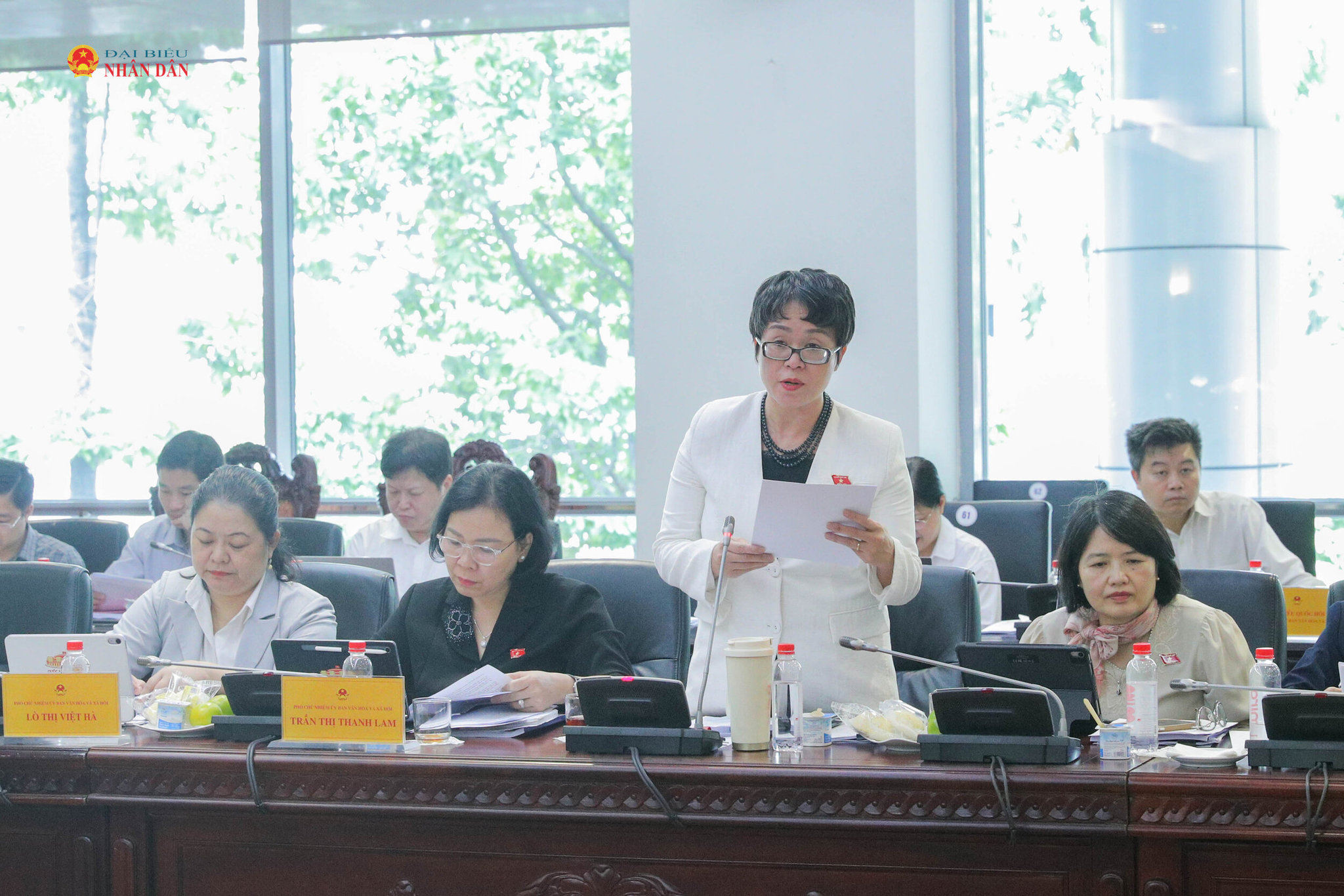 Đại biểu hoạt động Chuyên trách tại Ủy ban Văn hóa và Xã hội Dương Minh Ánh