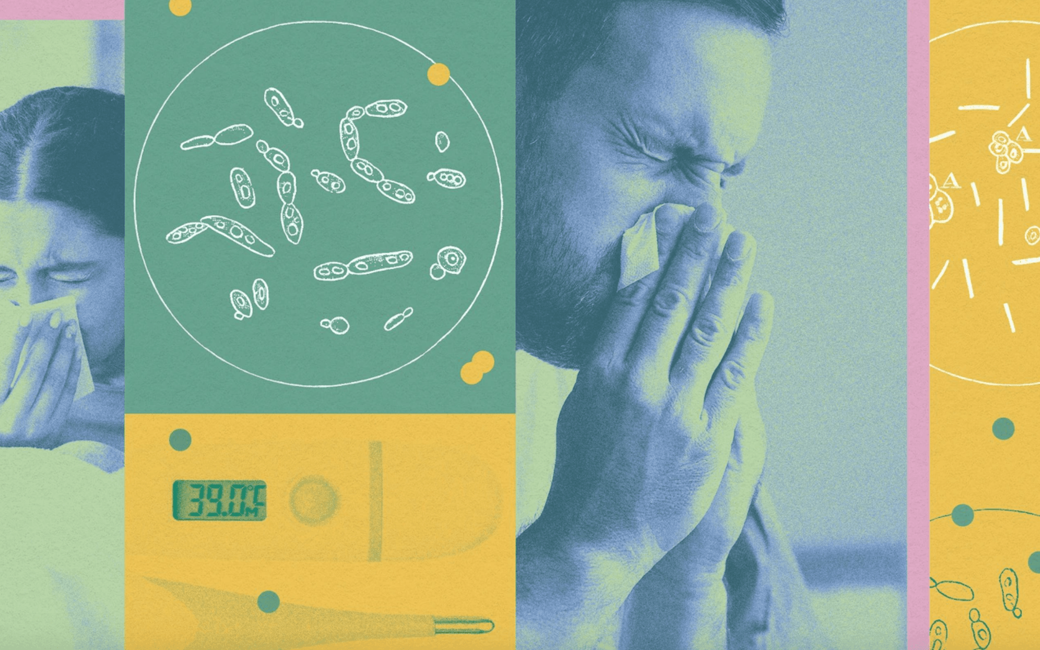 virus flu covid