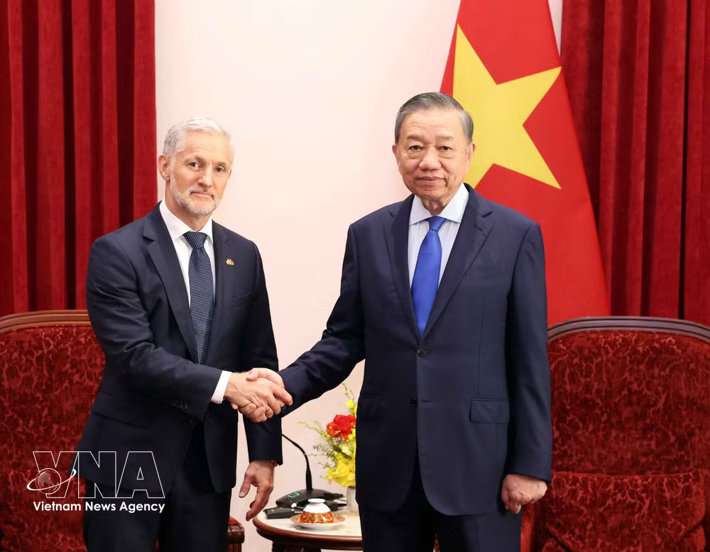 vnanet_potal-party-general-secretary-president-to-lam-ambassadors-reception-2.jpg