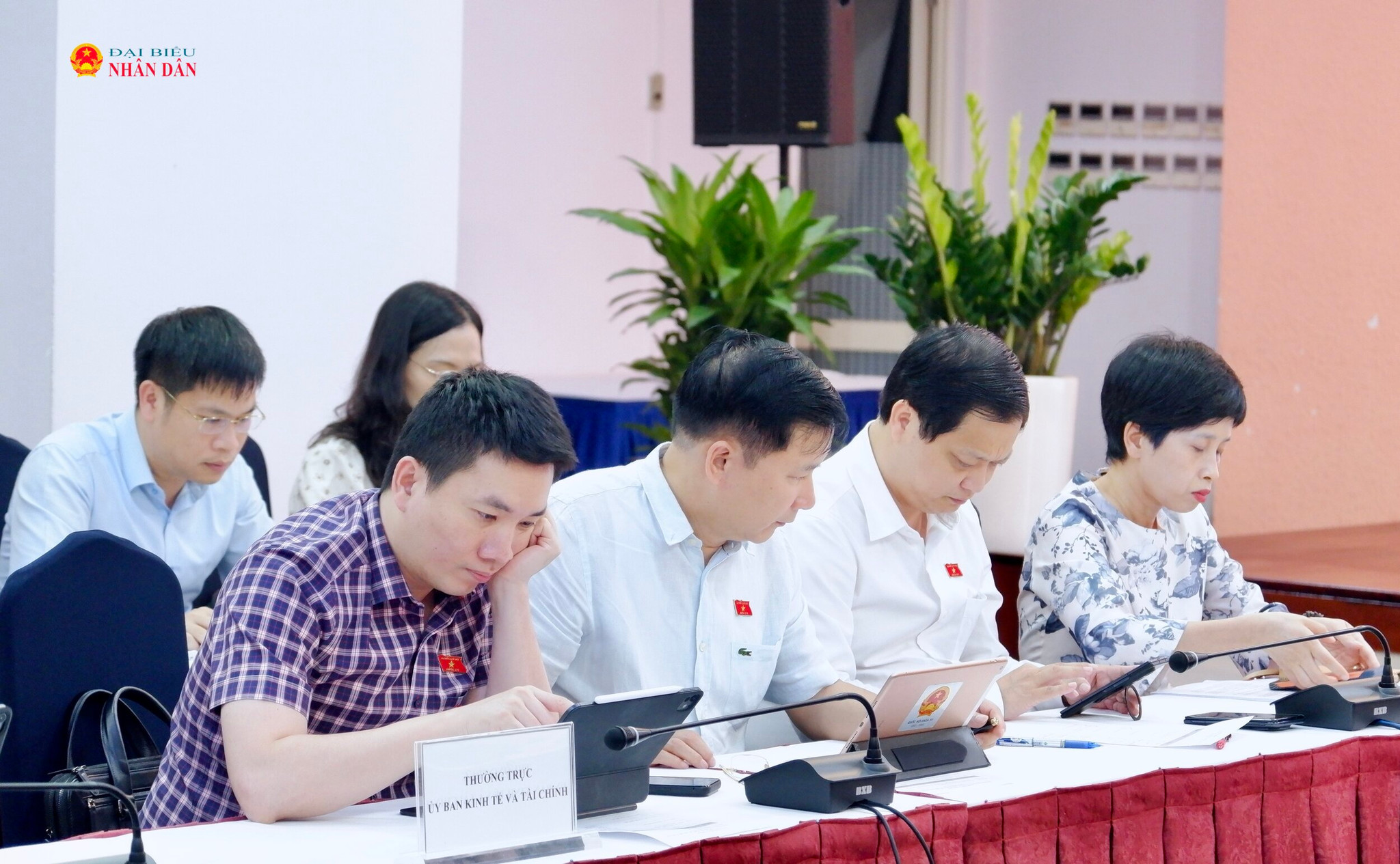 Các đại biểu tham dự hội nghị