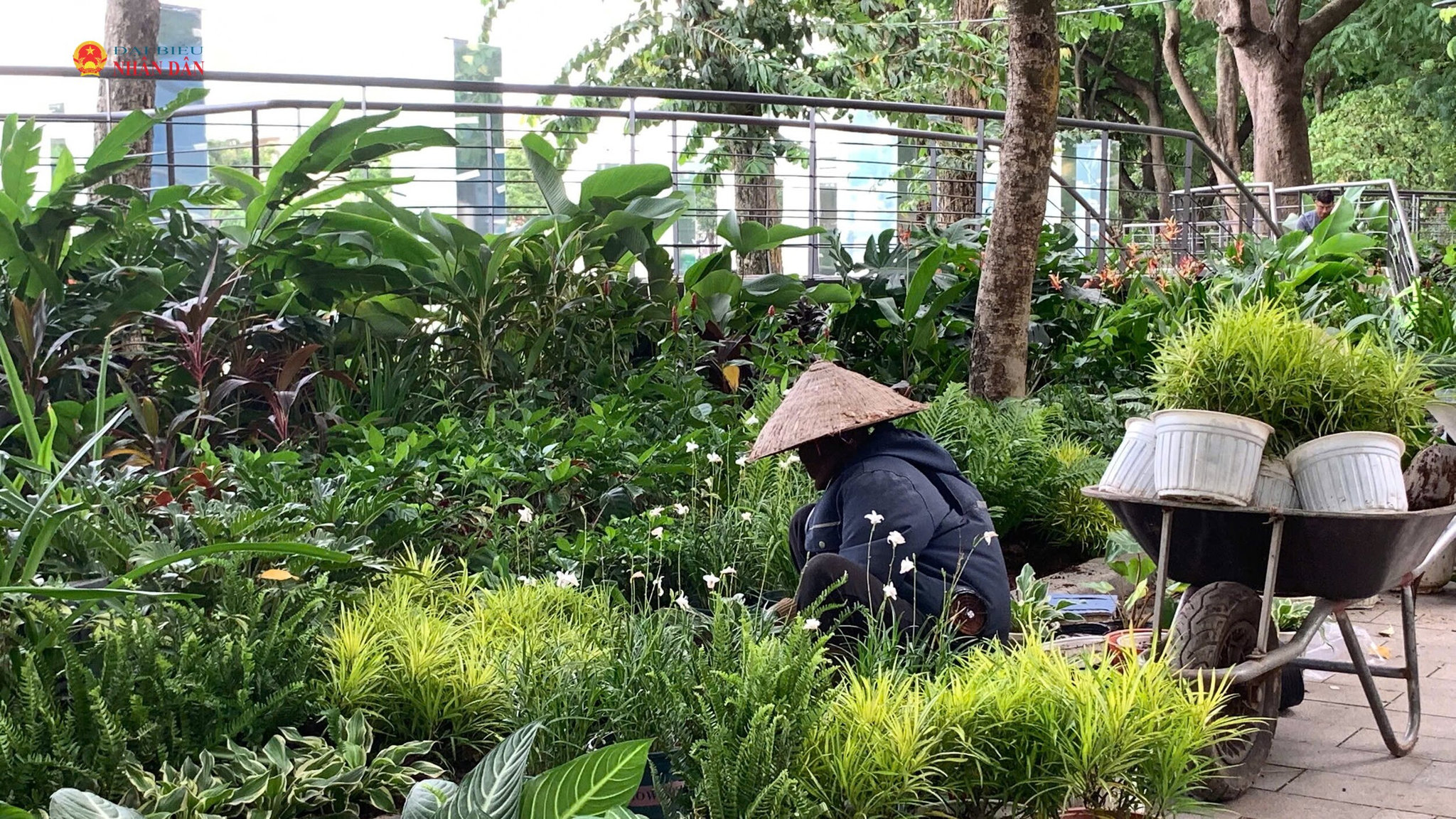 Các công nhân đang gấp rút thi công hoàn thành công trình không gian nghệ thuật “Dải lụa ký ức”.