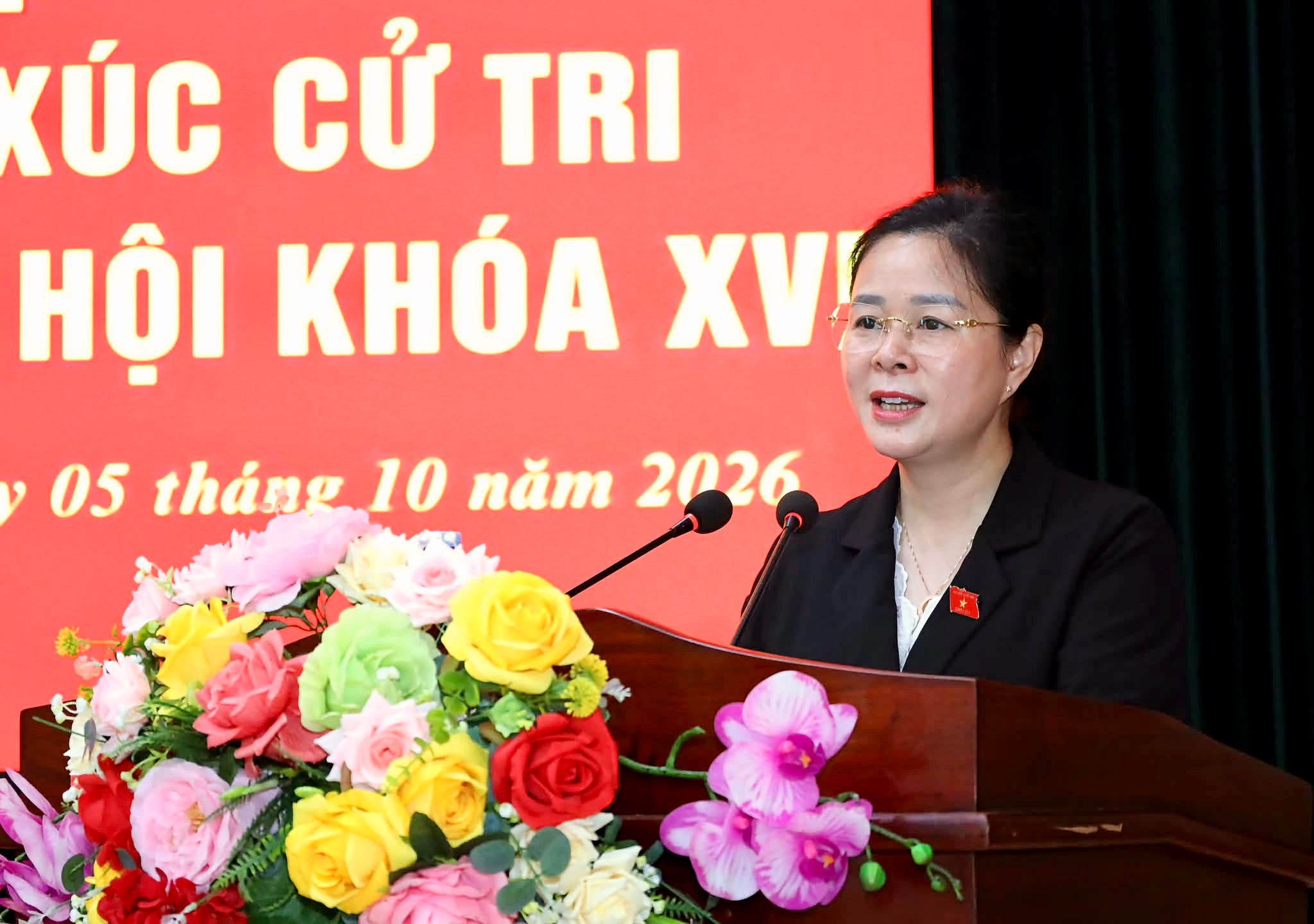 ĐBQH, Giám đốc Sở Y tế Lê Thị Hoài Chung thông tin dự kiến nội dung, chương trình Kỳ họp thư Hai