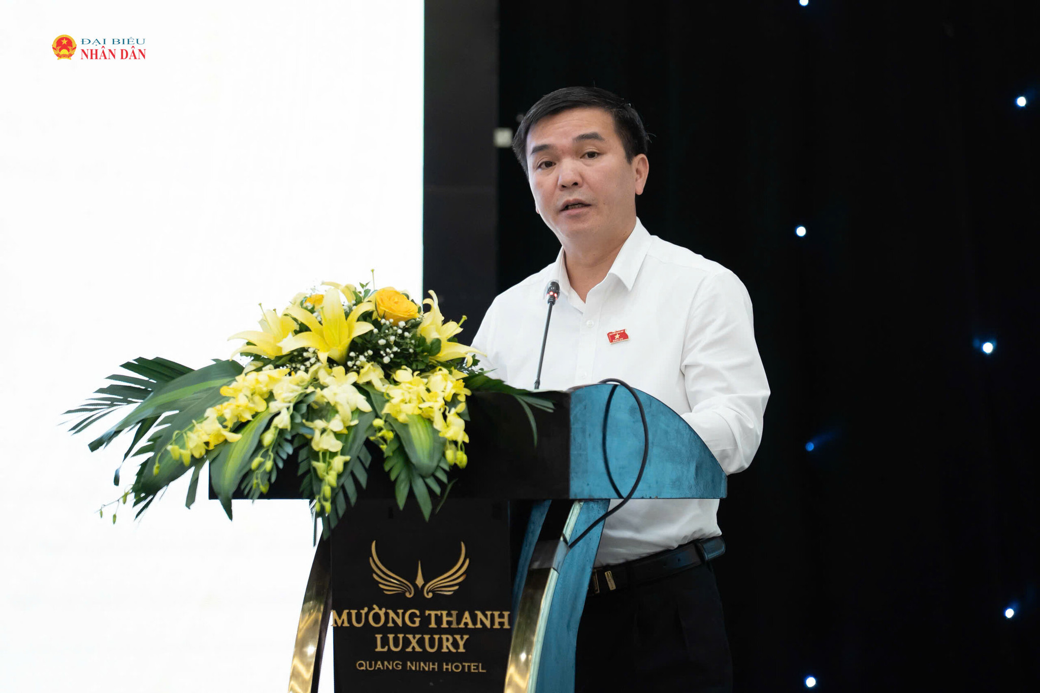 Phó Trưởng Đoàn ĐBQH tỉnh Thái Nguyên Hà Sỹ Huân trình bày tham luận