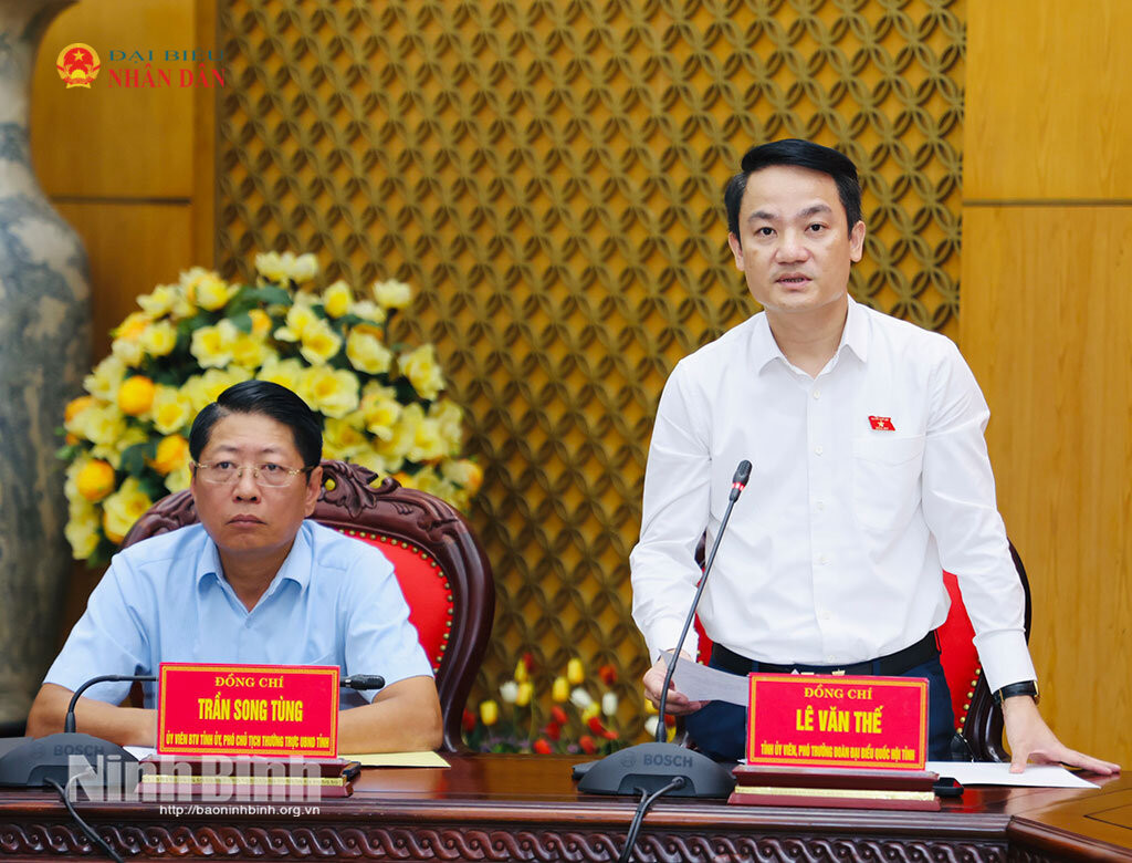 Phó Trưởng đoàn ĐBQH tỉnh Ninh Bình Lê Văn Thế phát biểu
