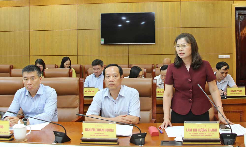 Phó Chủ tịch HĐND thành phố Lâm Thị Hương Thành phát biểu tại hội nghị