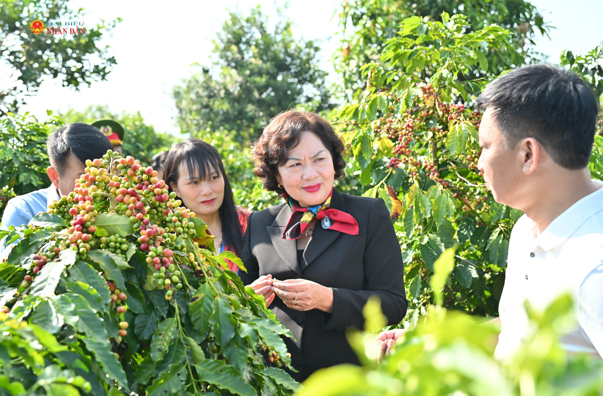 Phó Chủ tịch Quốc hội Nguyễn Thị Hồng thăm các mô hình nông nghiệp tiêu biểu tại Sơn La