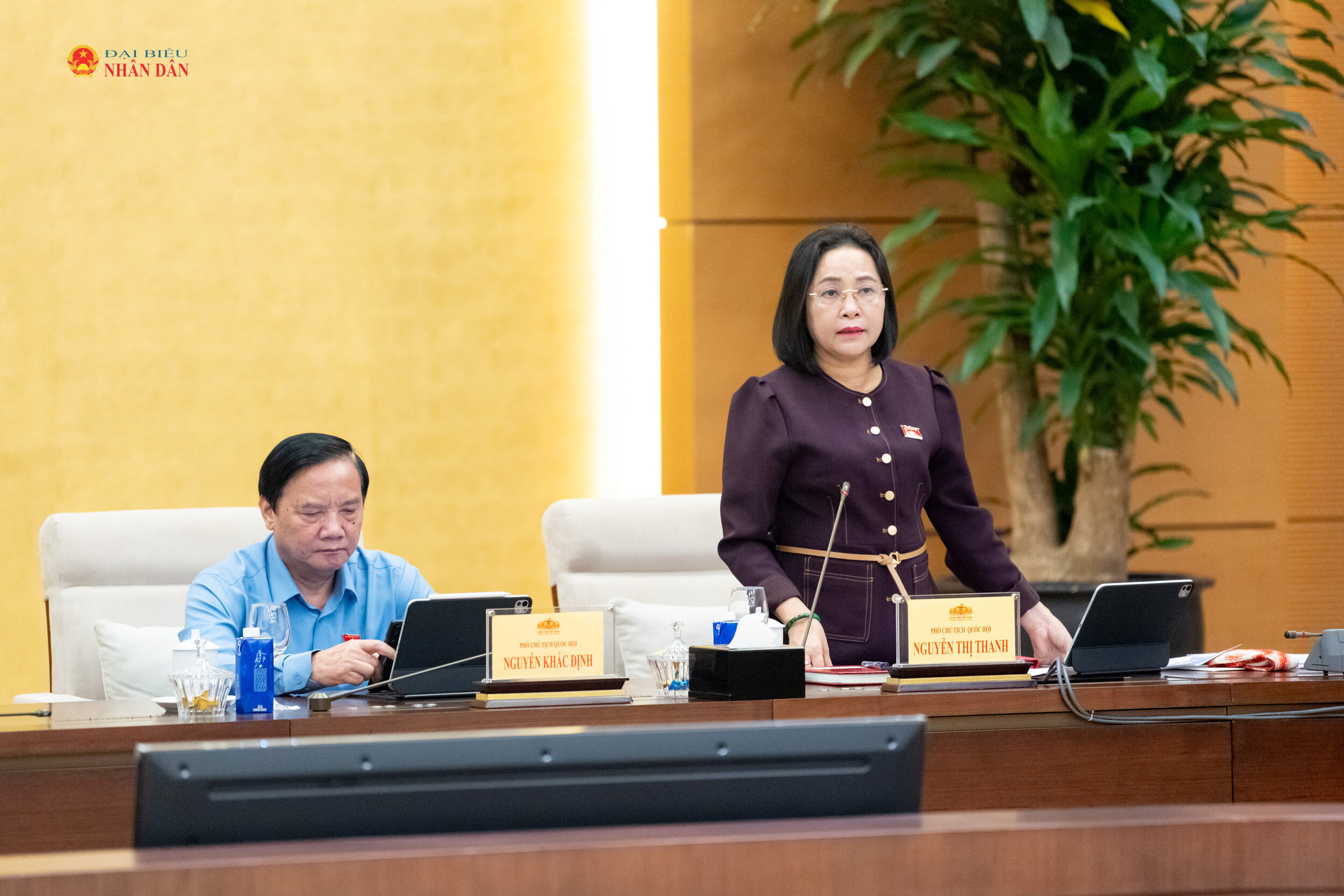 Phó Chủ tịch Quốc hội Nguyễn Thị Thanh phát biểu