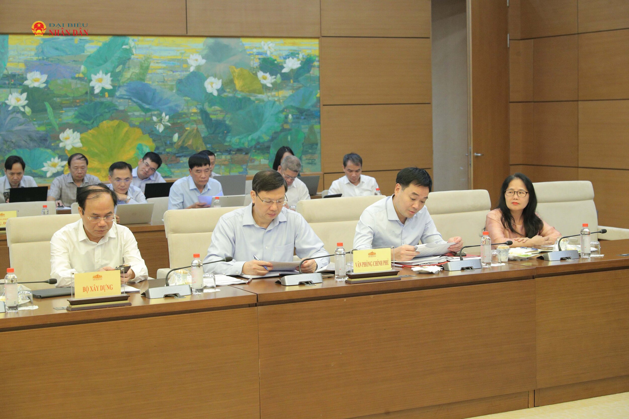 Các đại biểu dự