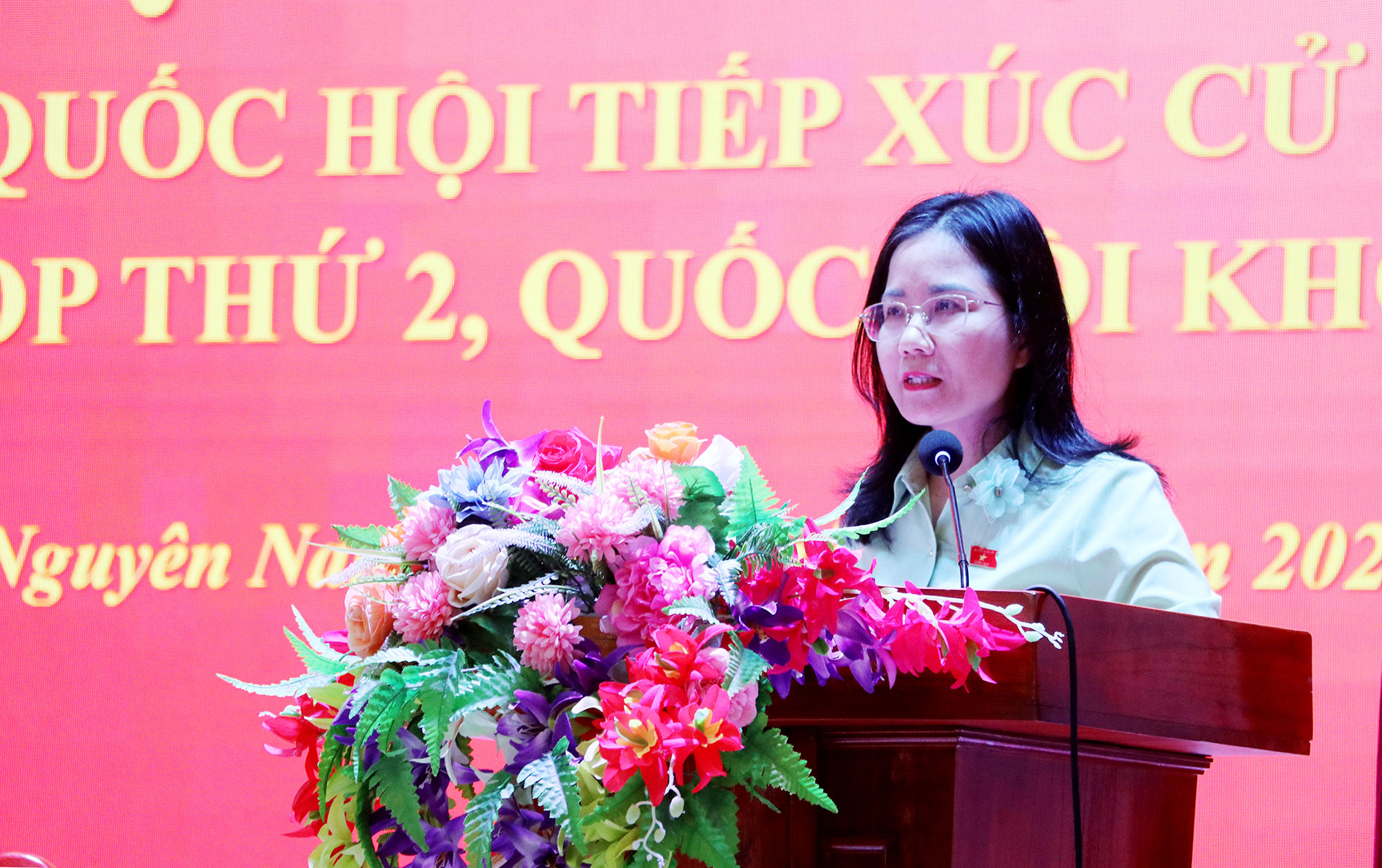 ĐBQH Nguyễn Thị Minh Tú thông tin dự kiến chương trình Kỳ họp thứ Hai