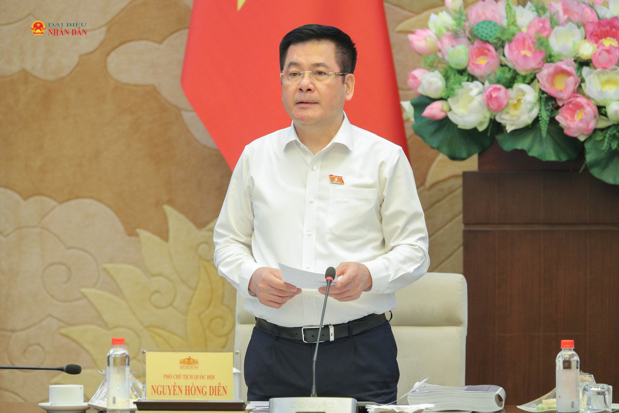 Phó Chủ tịch Quốc hội Nguyễn Hồng Diên 1