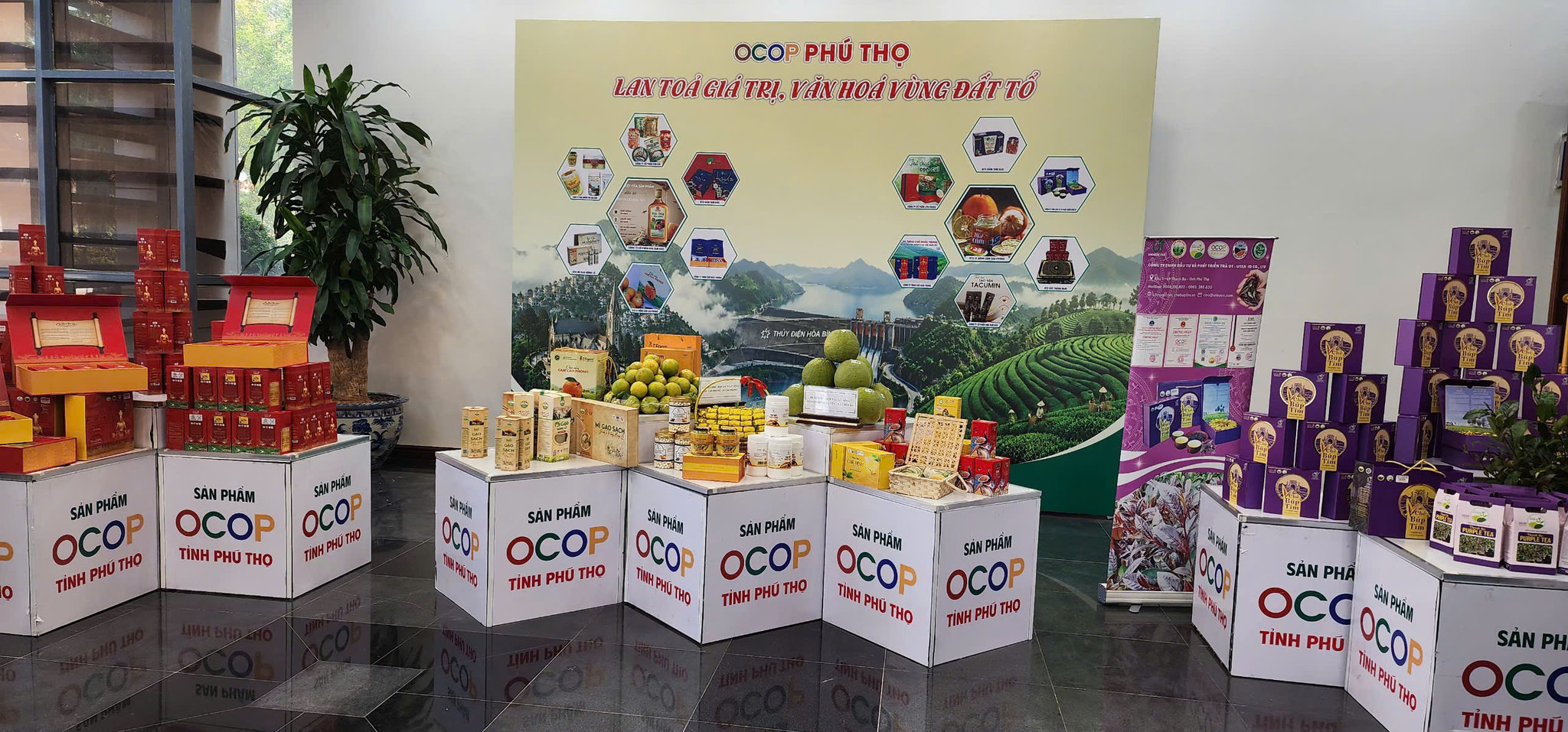 Gian trưng bày các nông sản đặc biệt của quê hương Đất Tổ tại Hội nghị