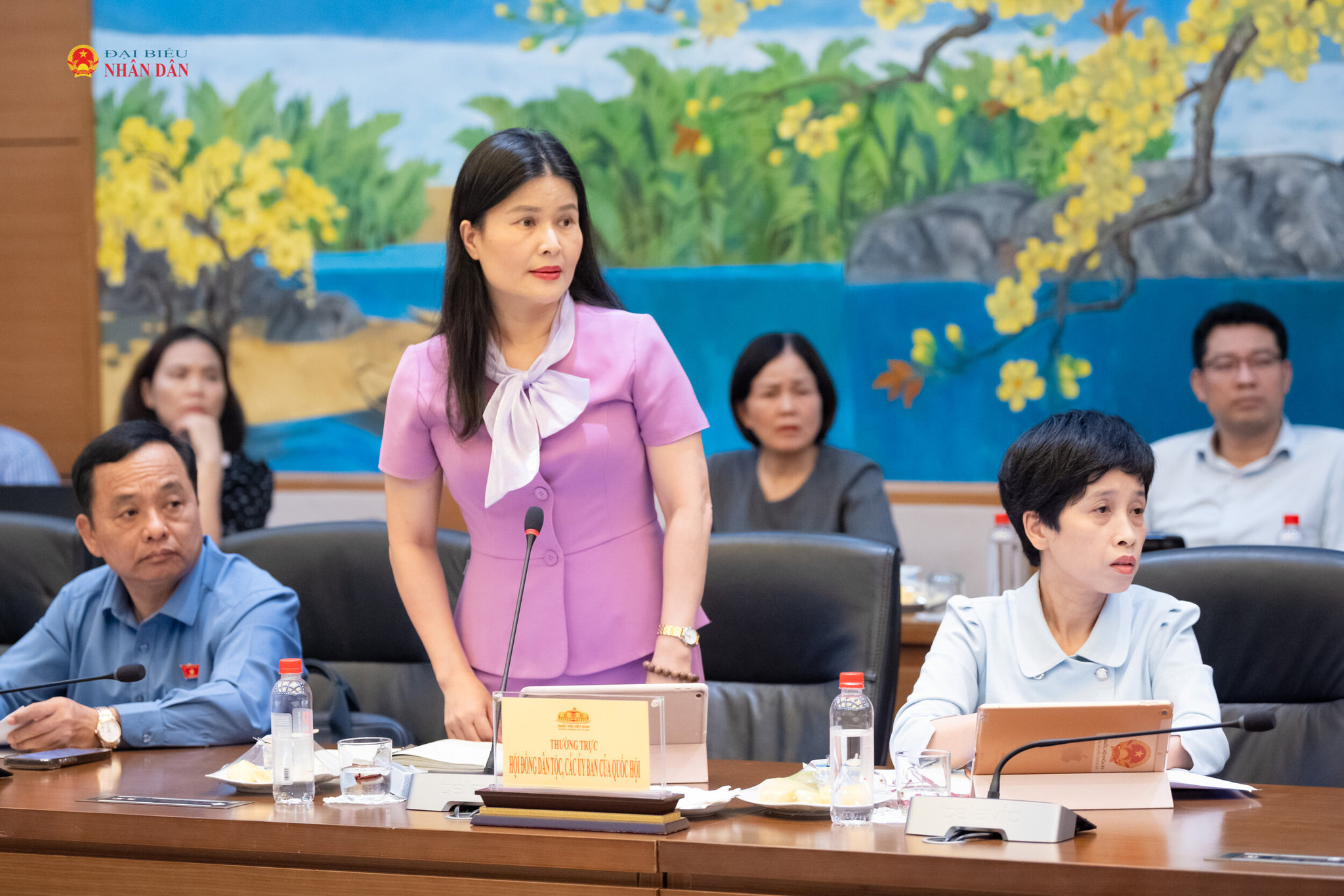 Phó Chủ nhiệm Ủy ban Công tác đại biểu Bùi Thị Quỳnh Thơ phát biểu