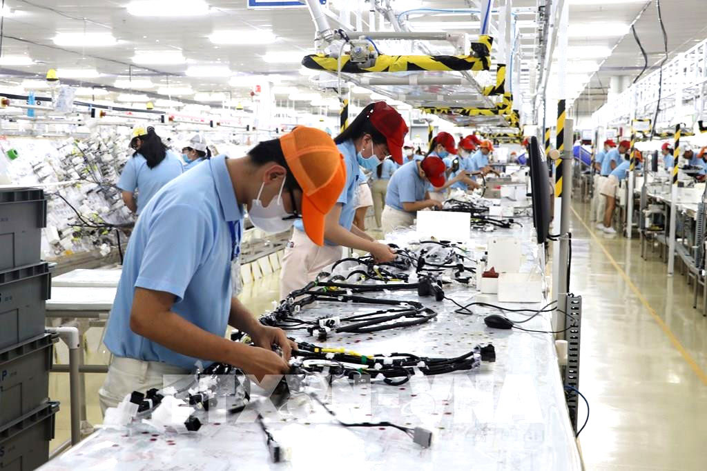 Công nhân làm việc tại Công ty Furukawa Automotive Systems (FAS) Vĩnh Long