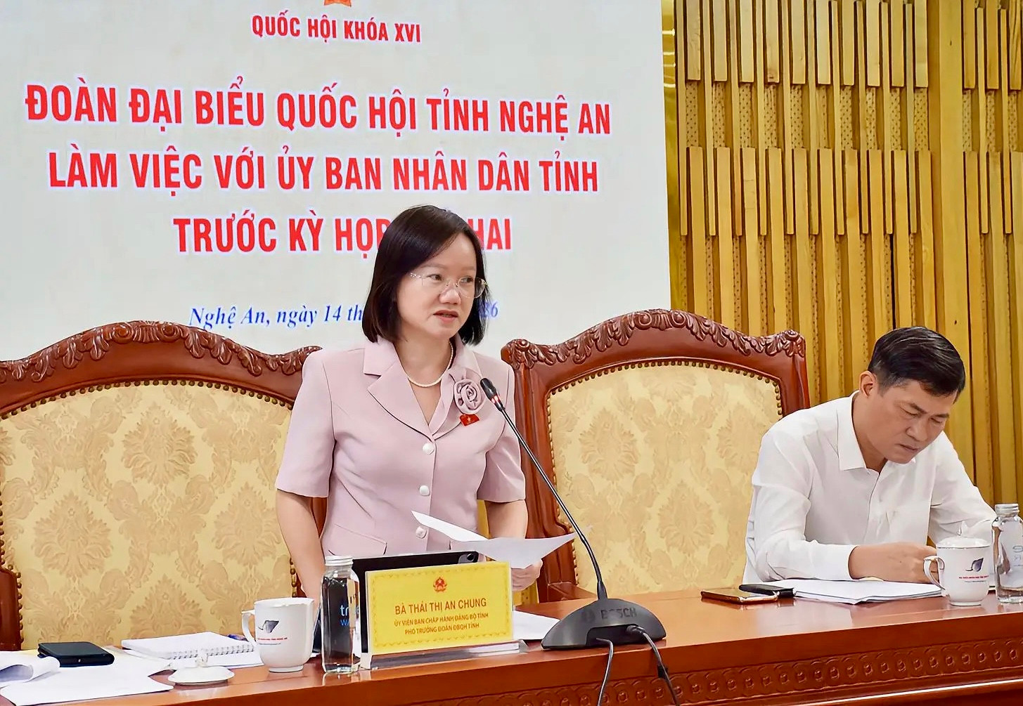Phó Trưởng đoàn chuyên trách Đoàn ĐBQH tỉnh Thái Thị An Chung phát biểu