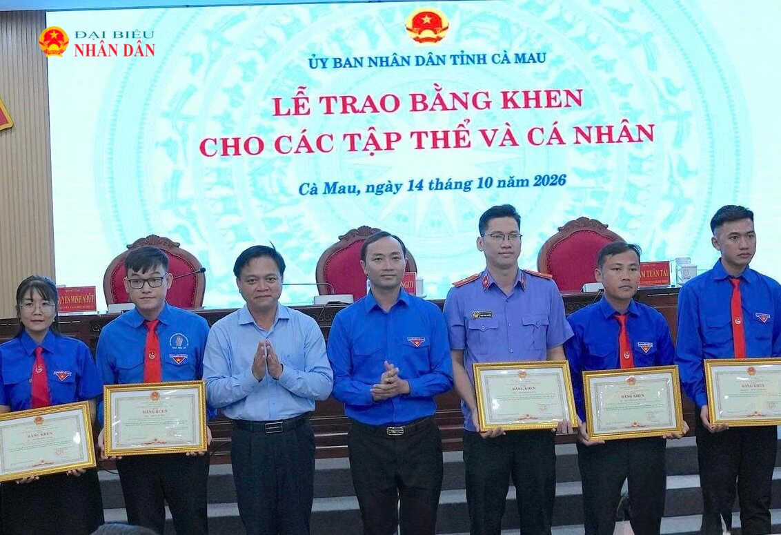 Đại diện lãnh đạo tỉnh Cà Mau trao bằng khen cho các thanh niên có thành tích tiêu biểu trên cách lĩnh vực. Ảnh: Hững Tùng