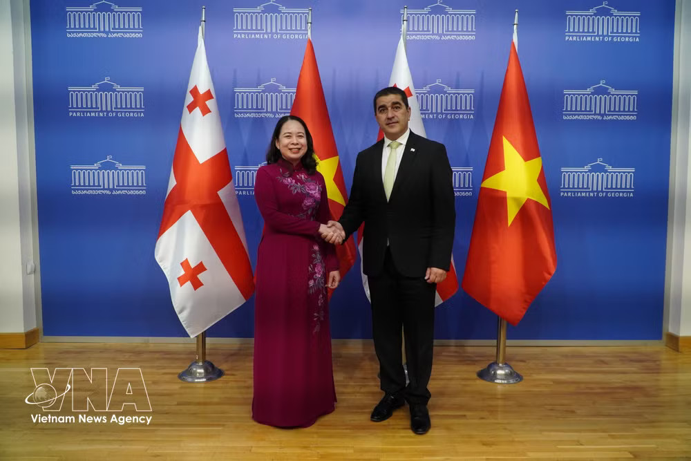 Vietnamese Vice President Vo Thi Anh Xuan (L) and Chairman of the Parliament Shalva Papuashvili. (Photo: VNA) vnanet-d-3361.jpg