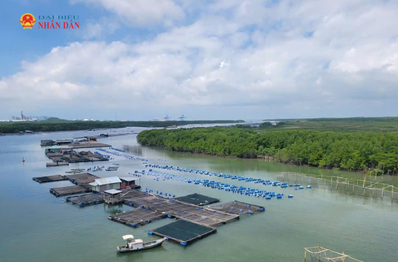 Trong số 10 nhóm ngành, lĩnh vực thực hiện mô hình kinh tế tuần hoàn tại TP. Hồ Chí Minh, lĩnh vực Nông, lâm nghiệp và thủy sản được ưu tiên hàng đầu