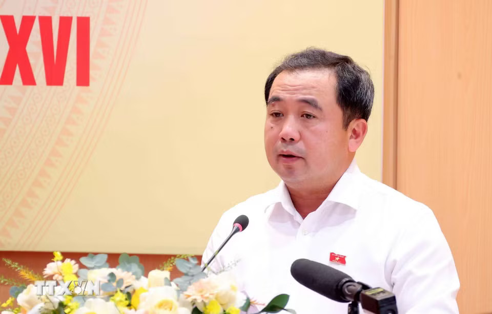 Ủy viên Bộ Chính trị, Bí thư Thành ủy, Trưởng đoàn đại biểu Quốc hội thành phố Hà Nội Trần Đức Thắng phát biểu