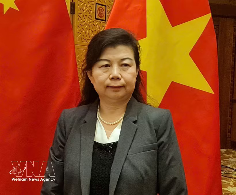 Liu Ying, a research fellow at the Chongyang Institute for Financial Studies, Renmin University of China. (Photo: VNA)