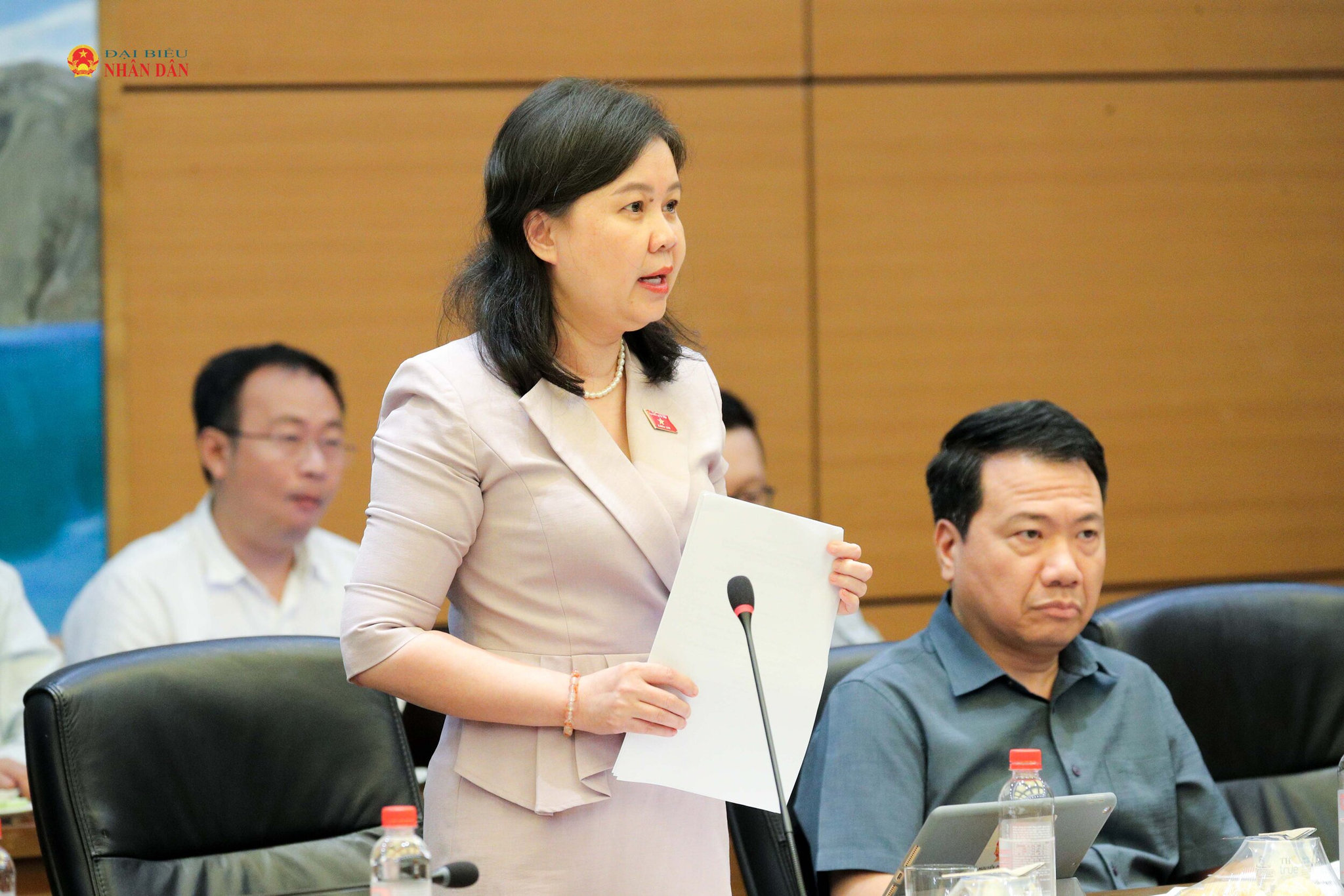 Phó Chủ nhiệm Ủy ban Pháp luật và Tư pháp Nguyễn Phương Thủy