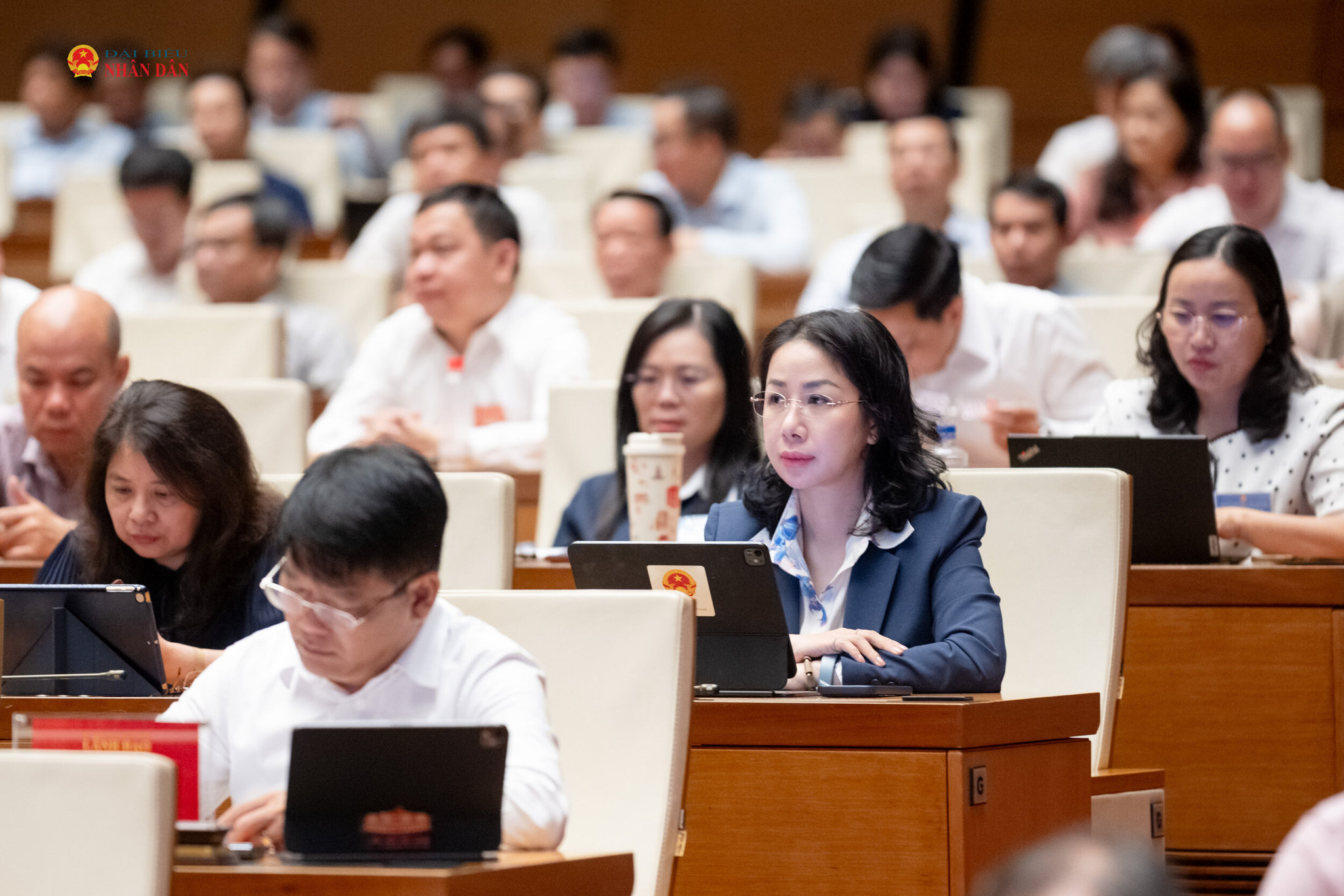 Các đại biểu dự hội nghị