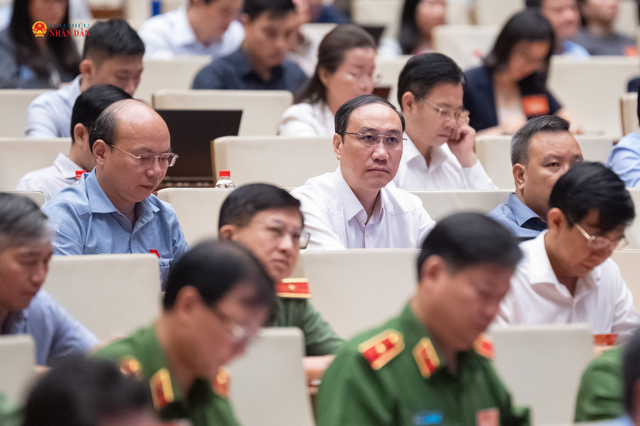 Các đại biểu dự hội nghị