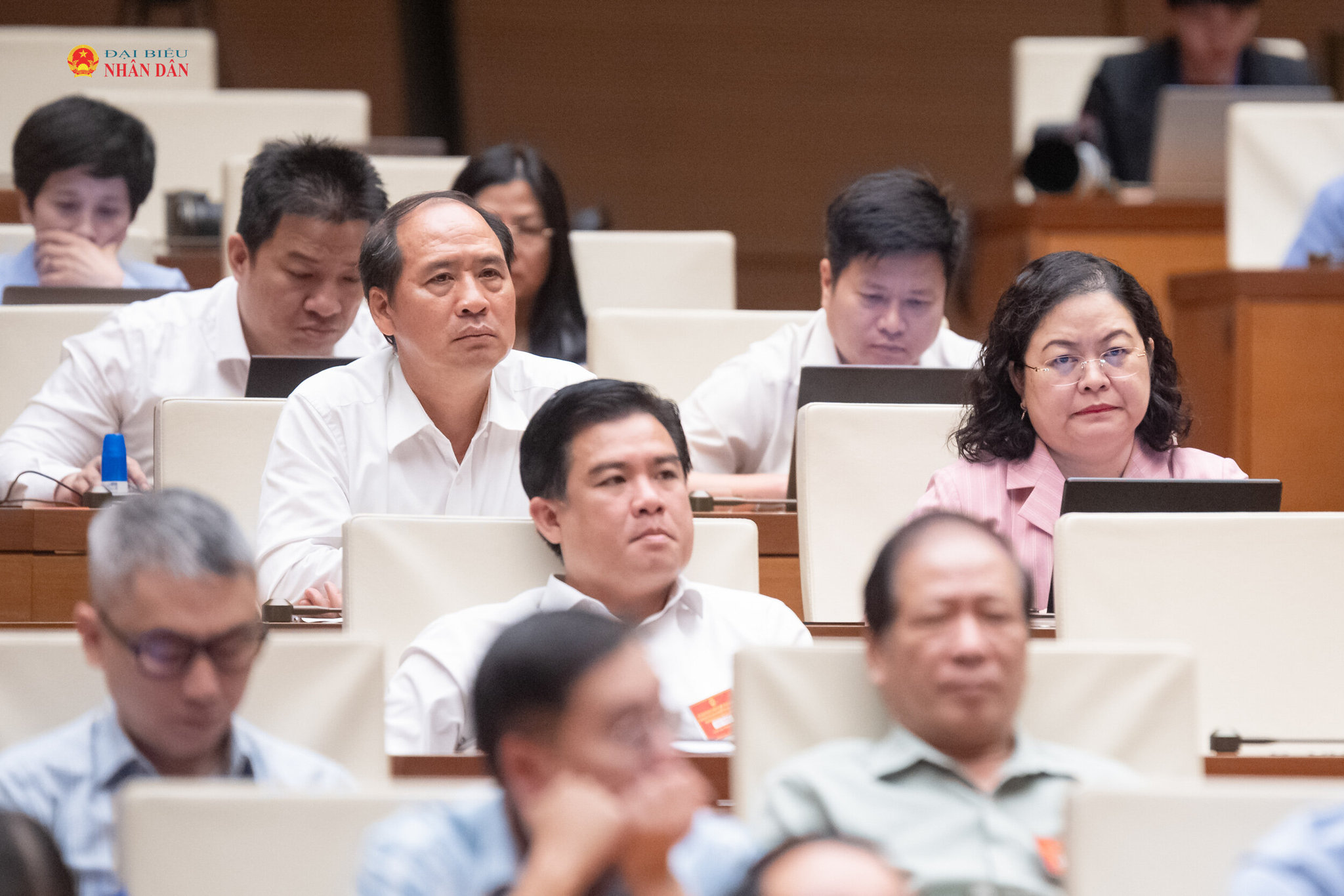 Các đại biểu tham dự hội nghị