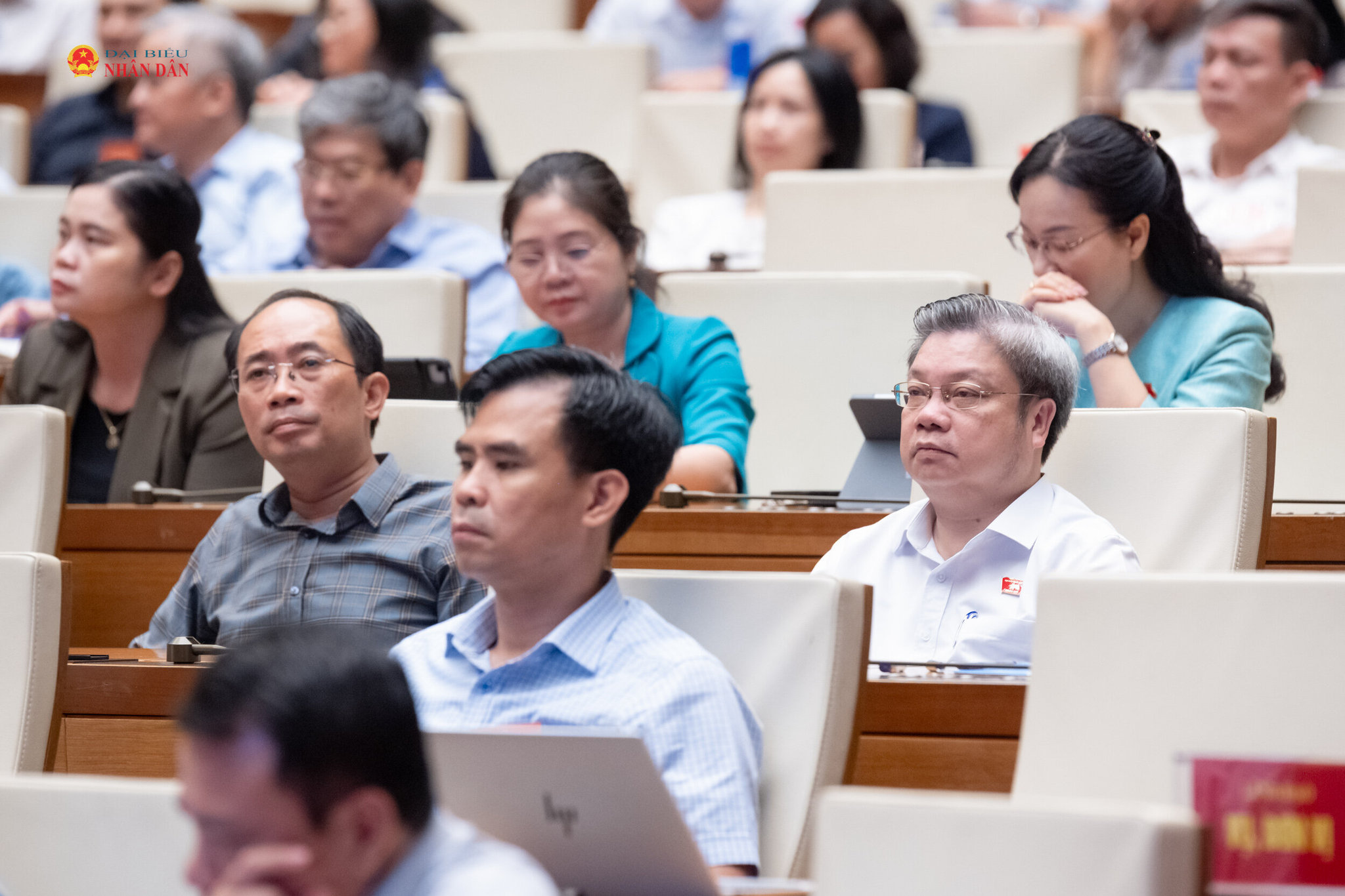 Các đại biểu tham dự hội nghị