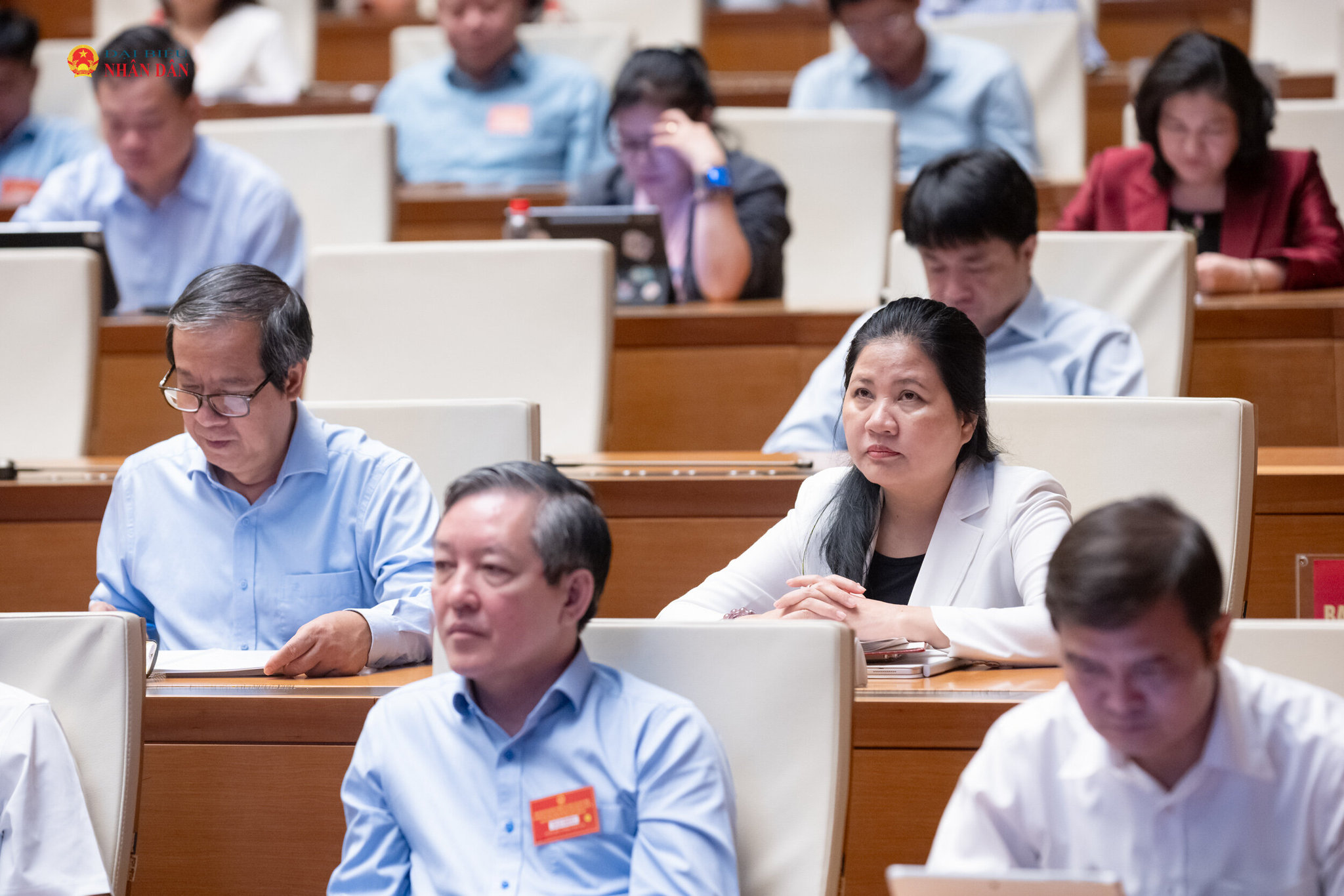 Các đại biểu dự hội nghị