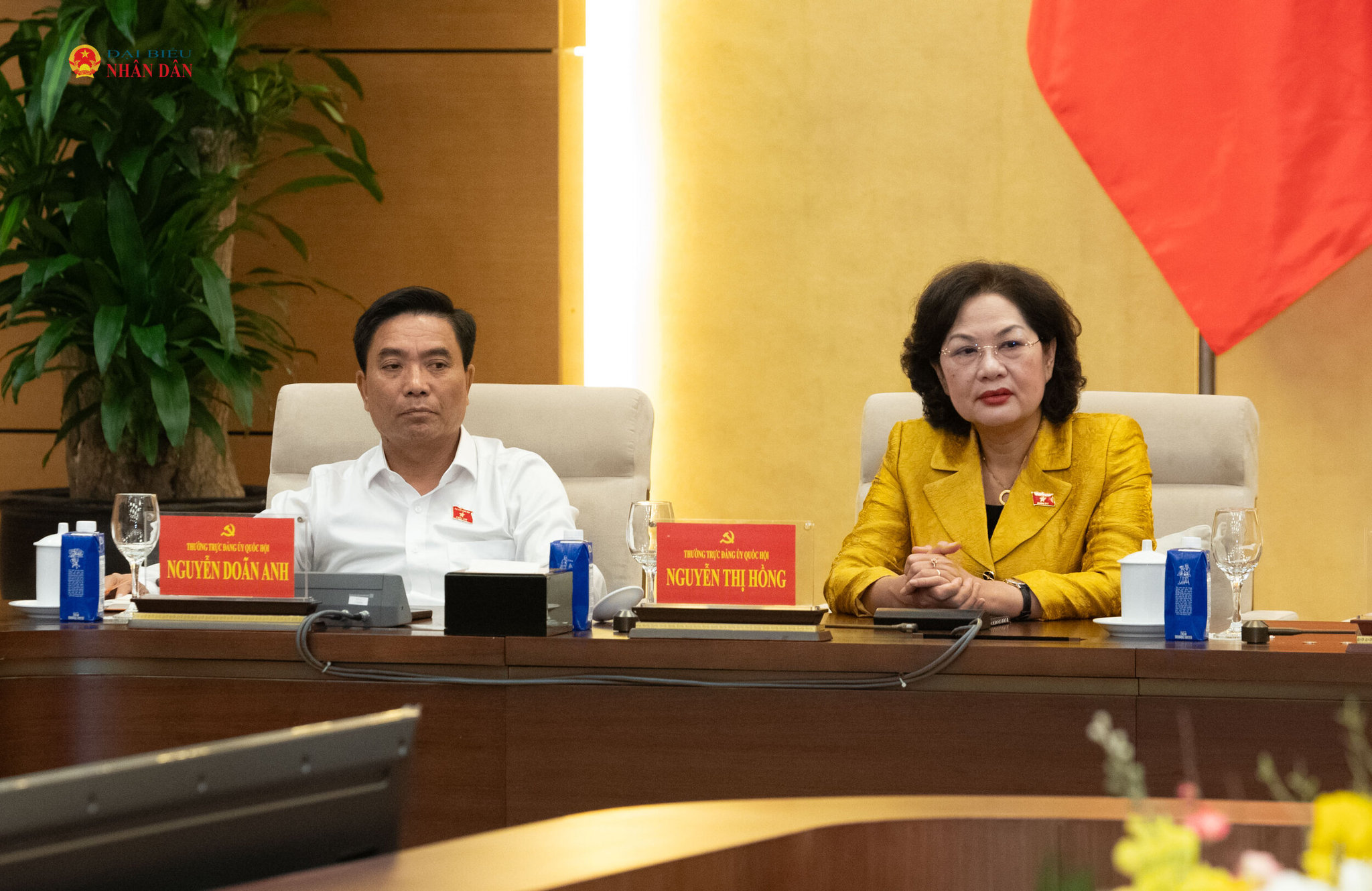 Các đại biểu dự cuộc họp.3