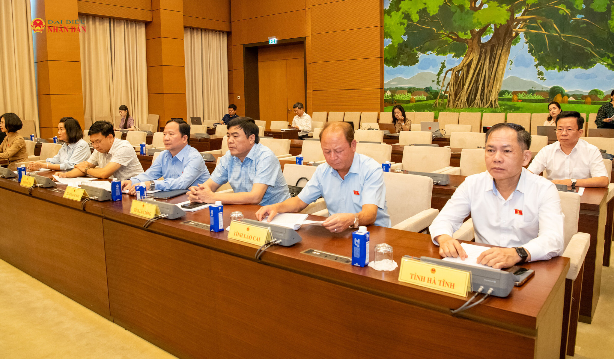 Các đại biểu dự cuộc họp.6